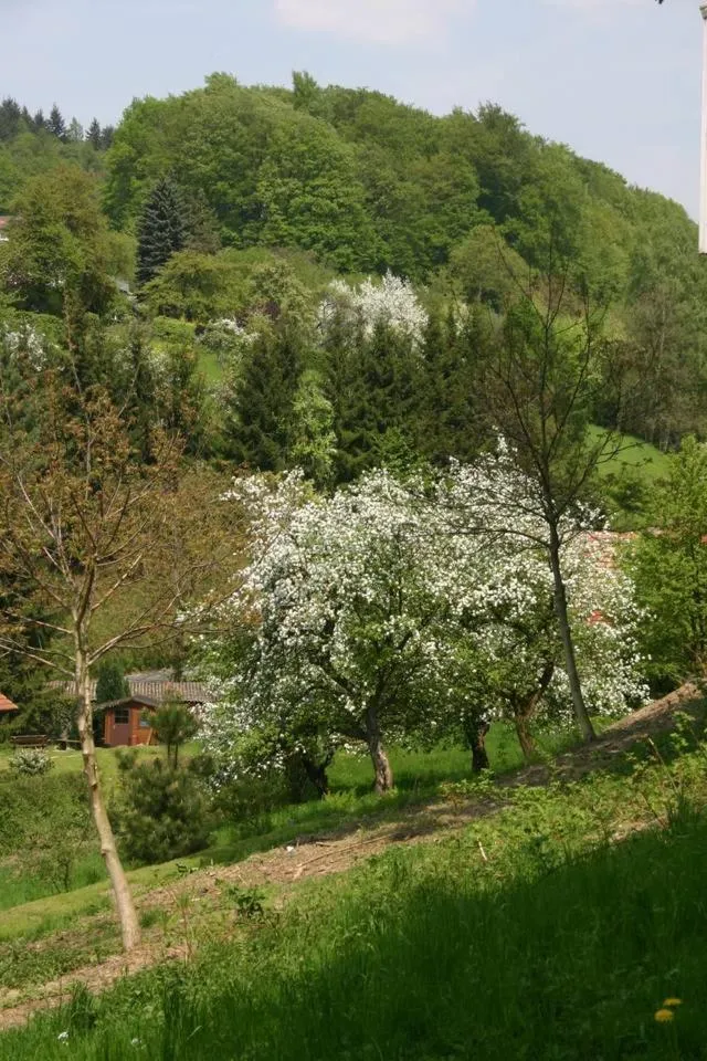 Blumenwiese Appartement