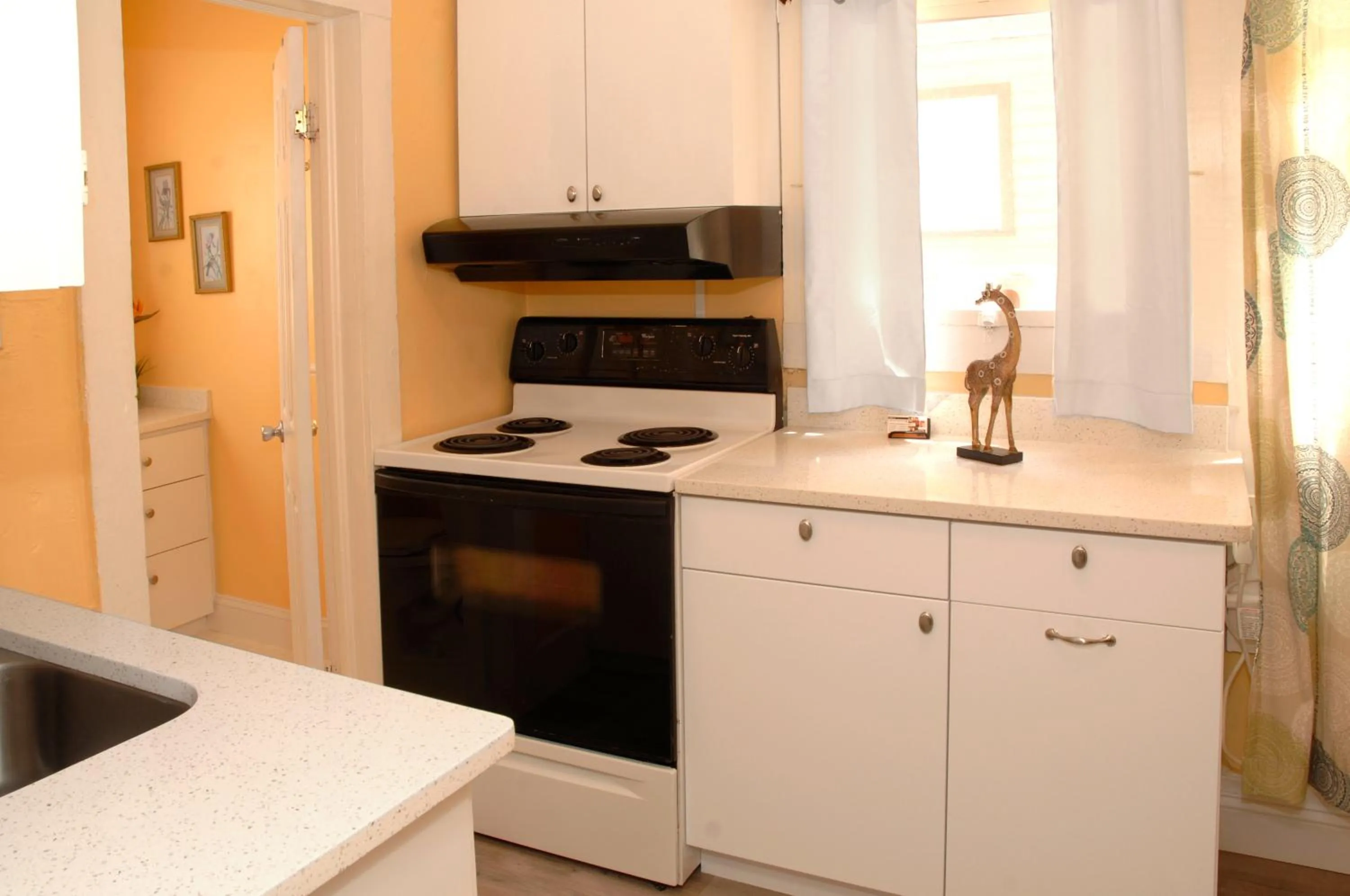 Kitchen or kitchenette in Adorable Historic Downtown Apartment