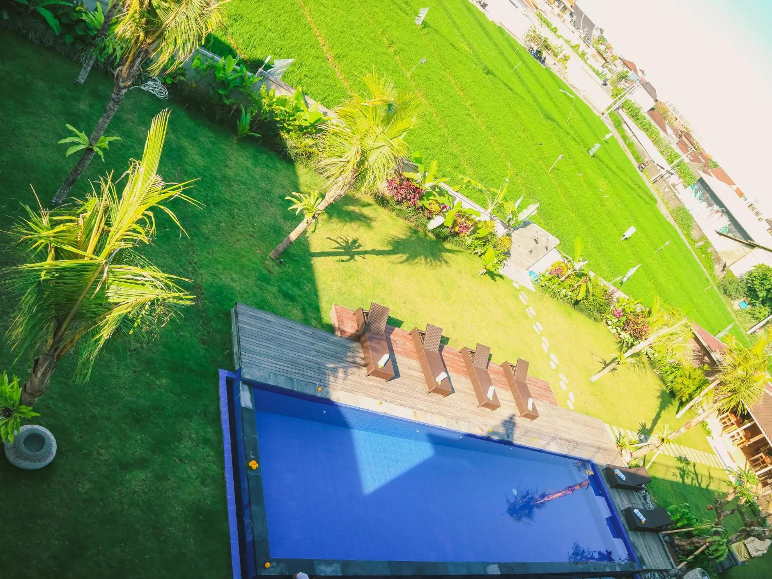 Bird's eye view in Puri Canggu Rooms 2