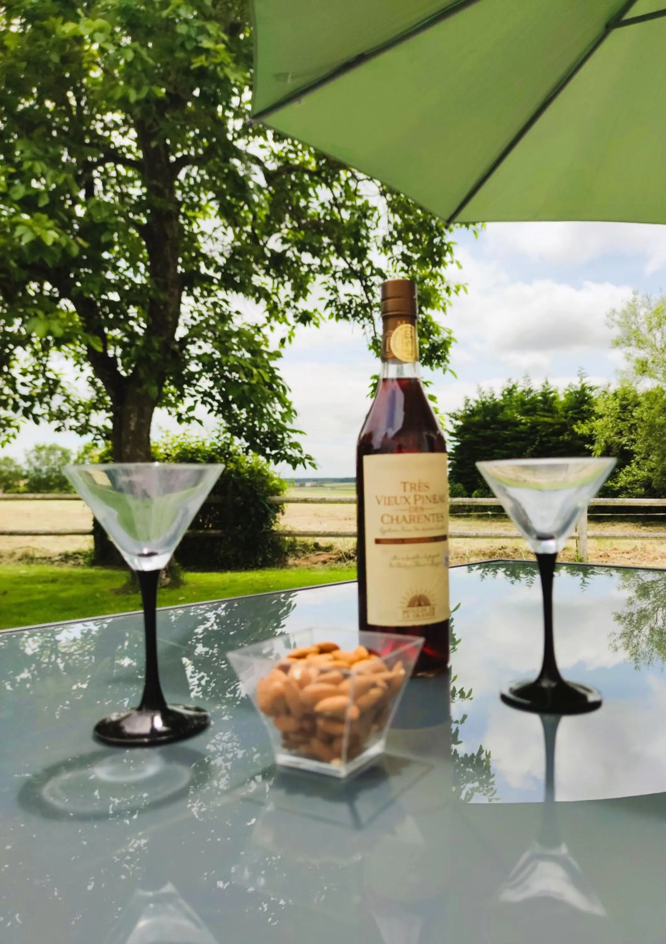 Garden view in Domaine du Galon d'Or