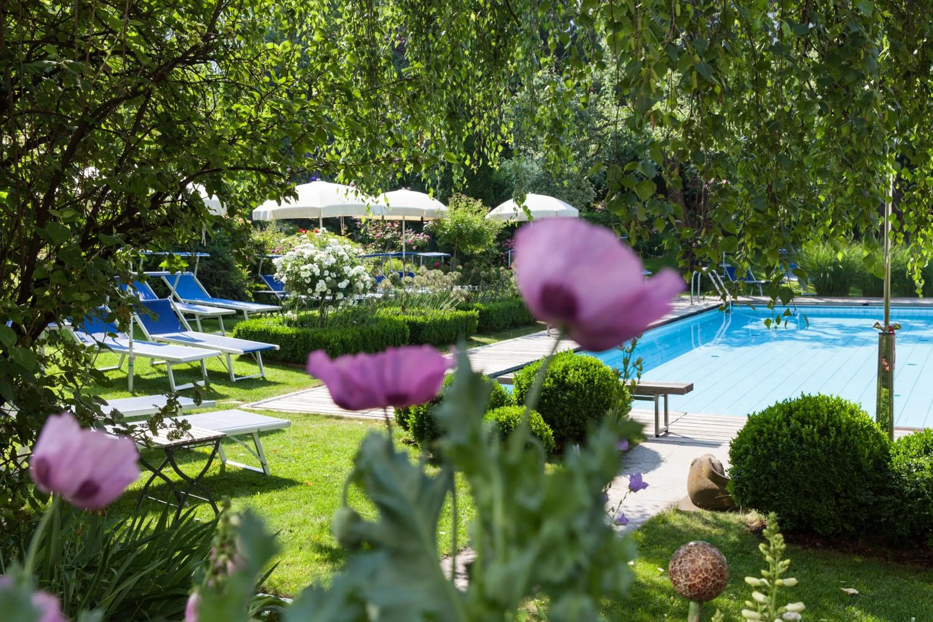 Garden in Hotel Heubad