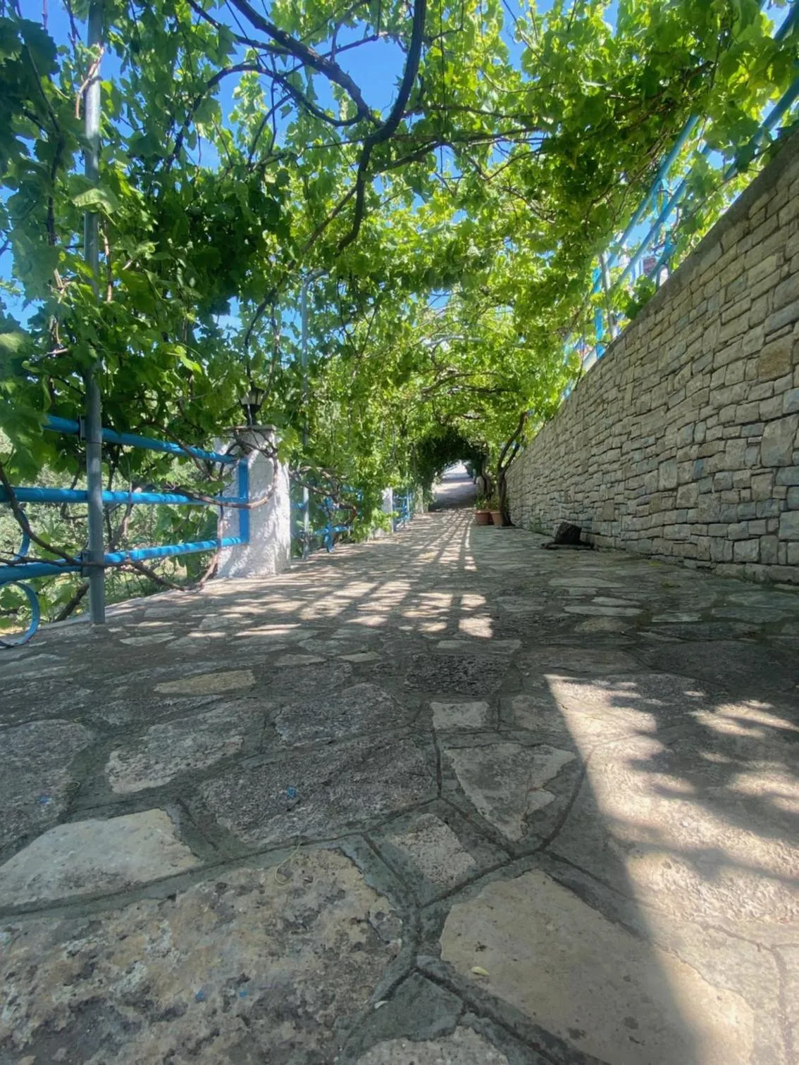 Garden in Pantheon Apartments & Studios