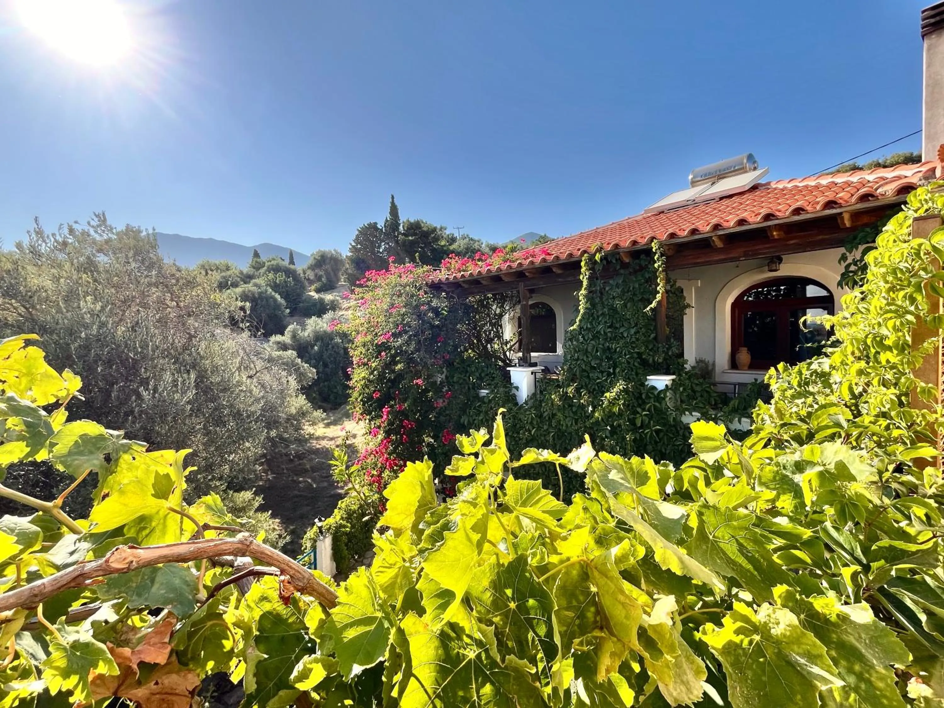 Balcony/Terrace in Pantheon Apartments & Studios