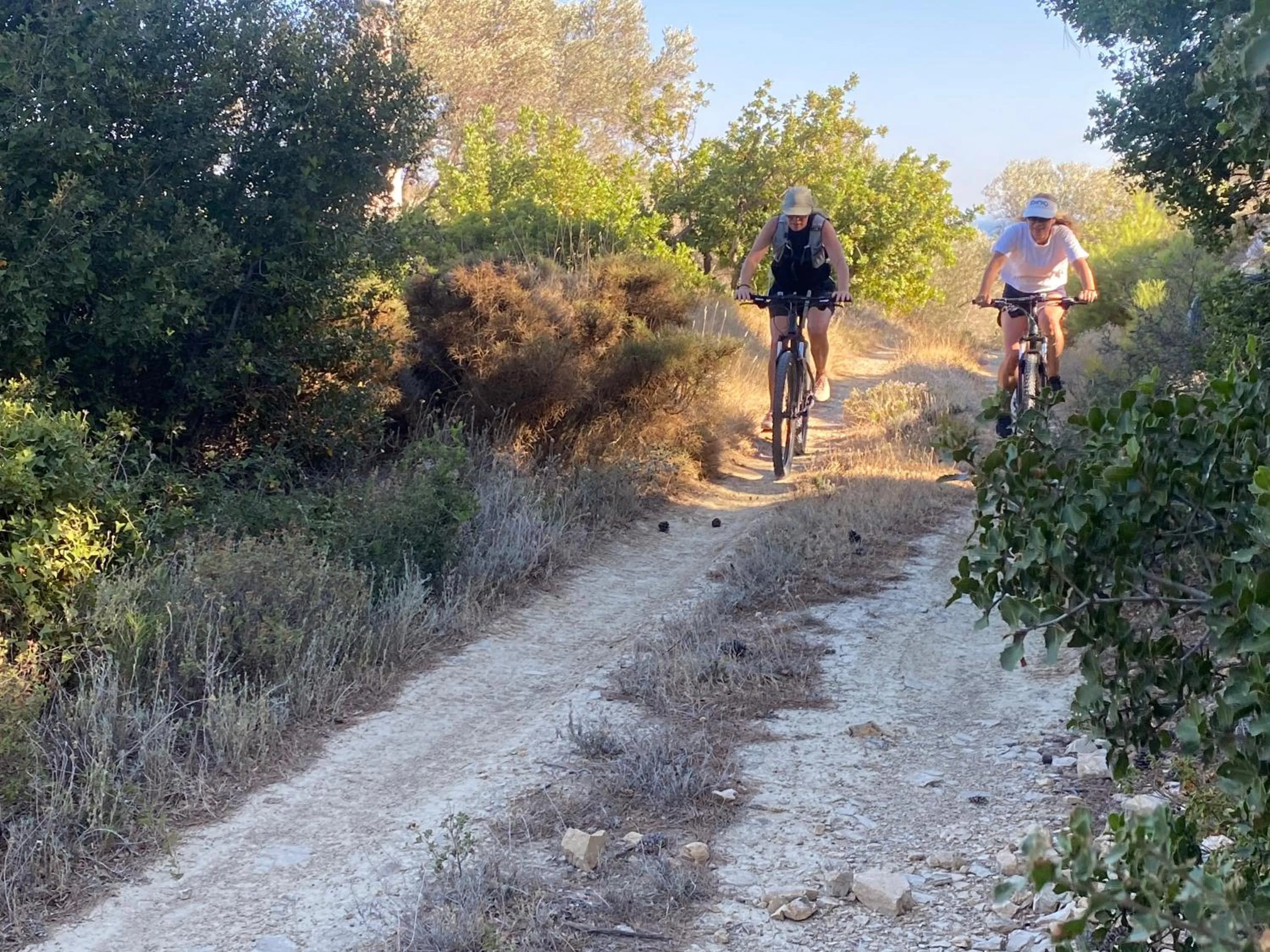 Cycling in Pantheon Apartments & Studios