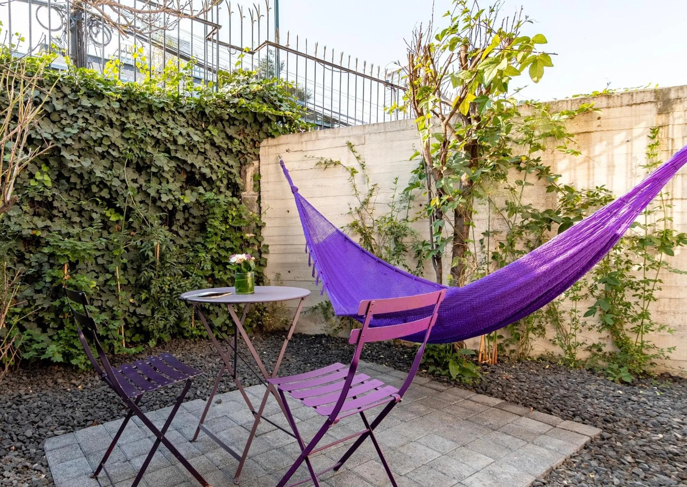 Patio in Pug Seal Polanco Anatole France