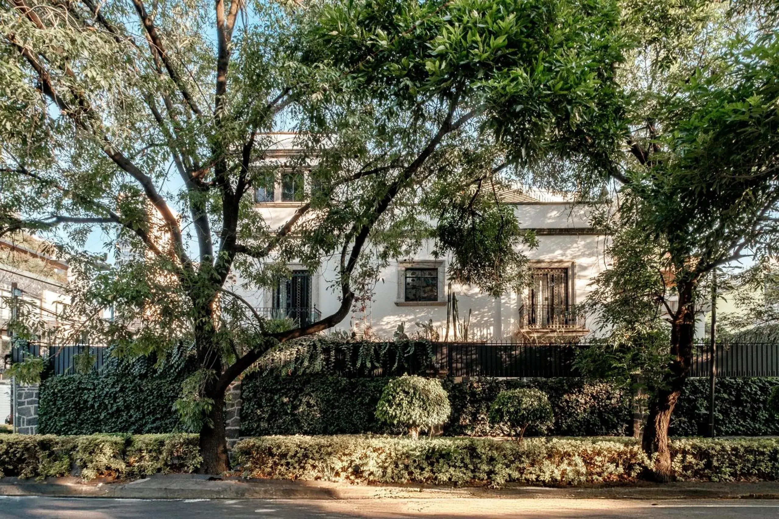 Pug Seal Polanco Anatole France Pug Seal Polanco Anatole France