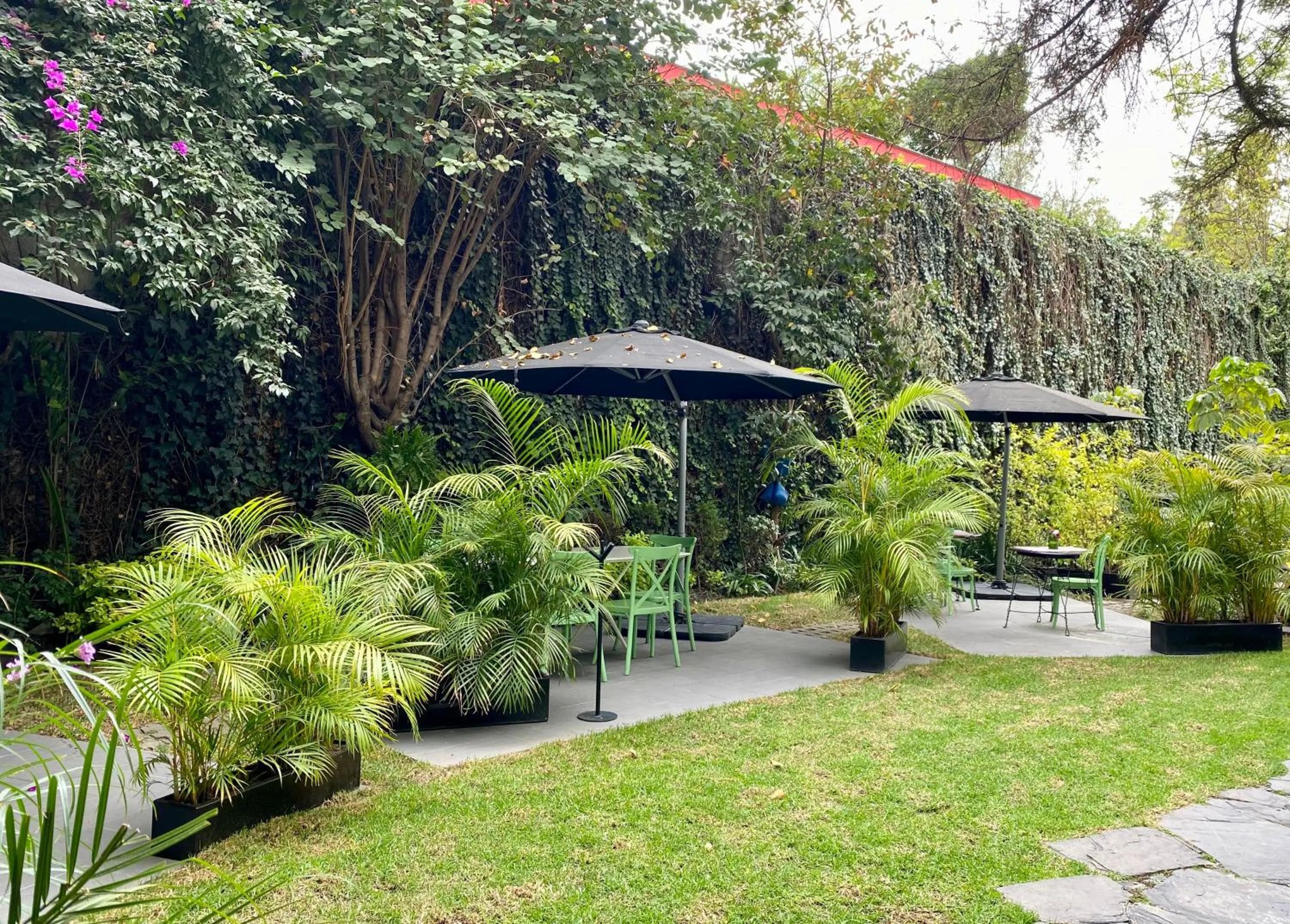 Garden in Pug Seal Polanco Anatole France
