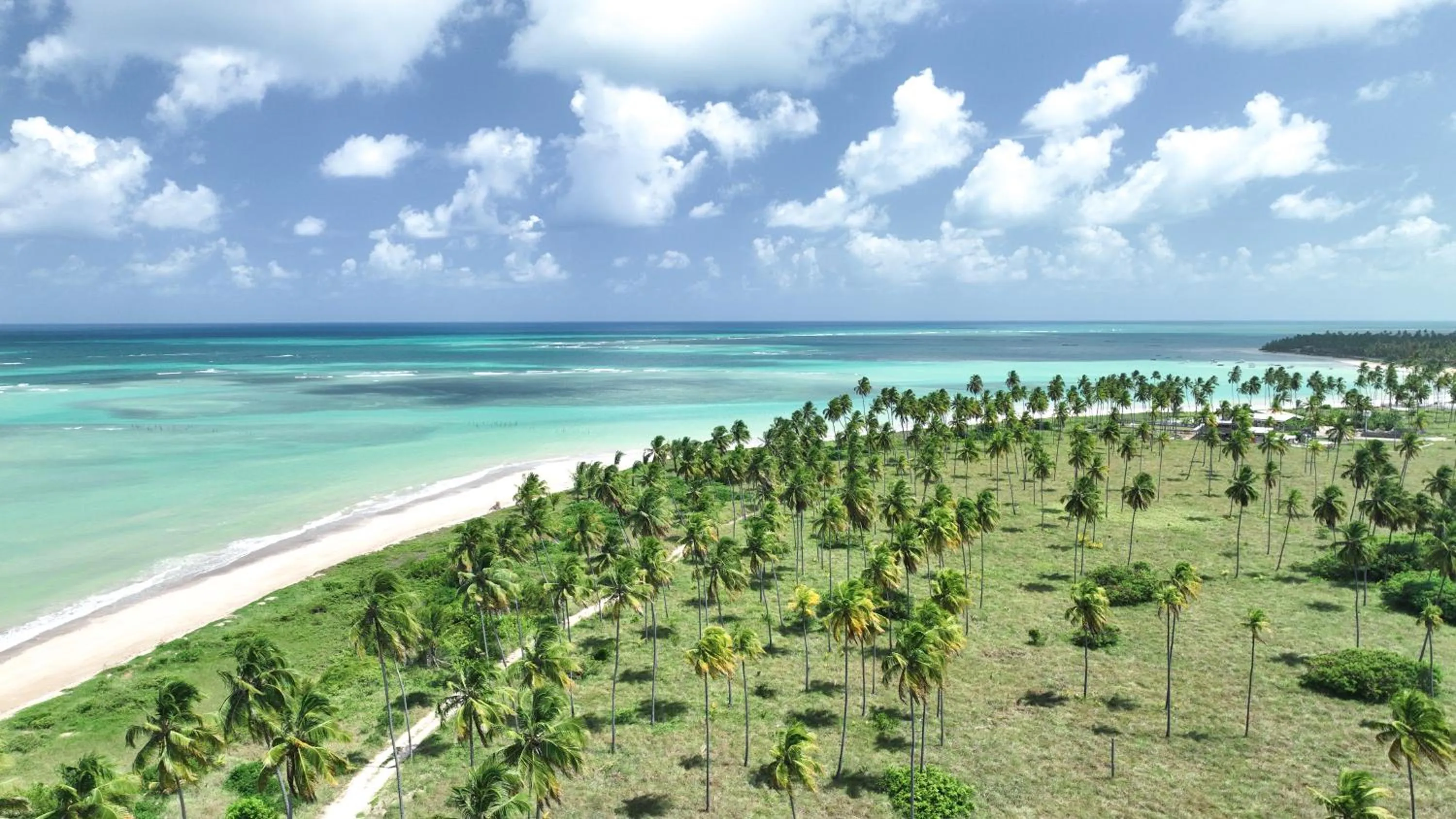 Natural landscape in Japaratinga Lounge Resort - All Inclusive