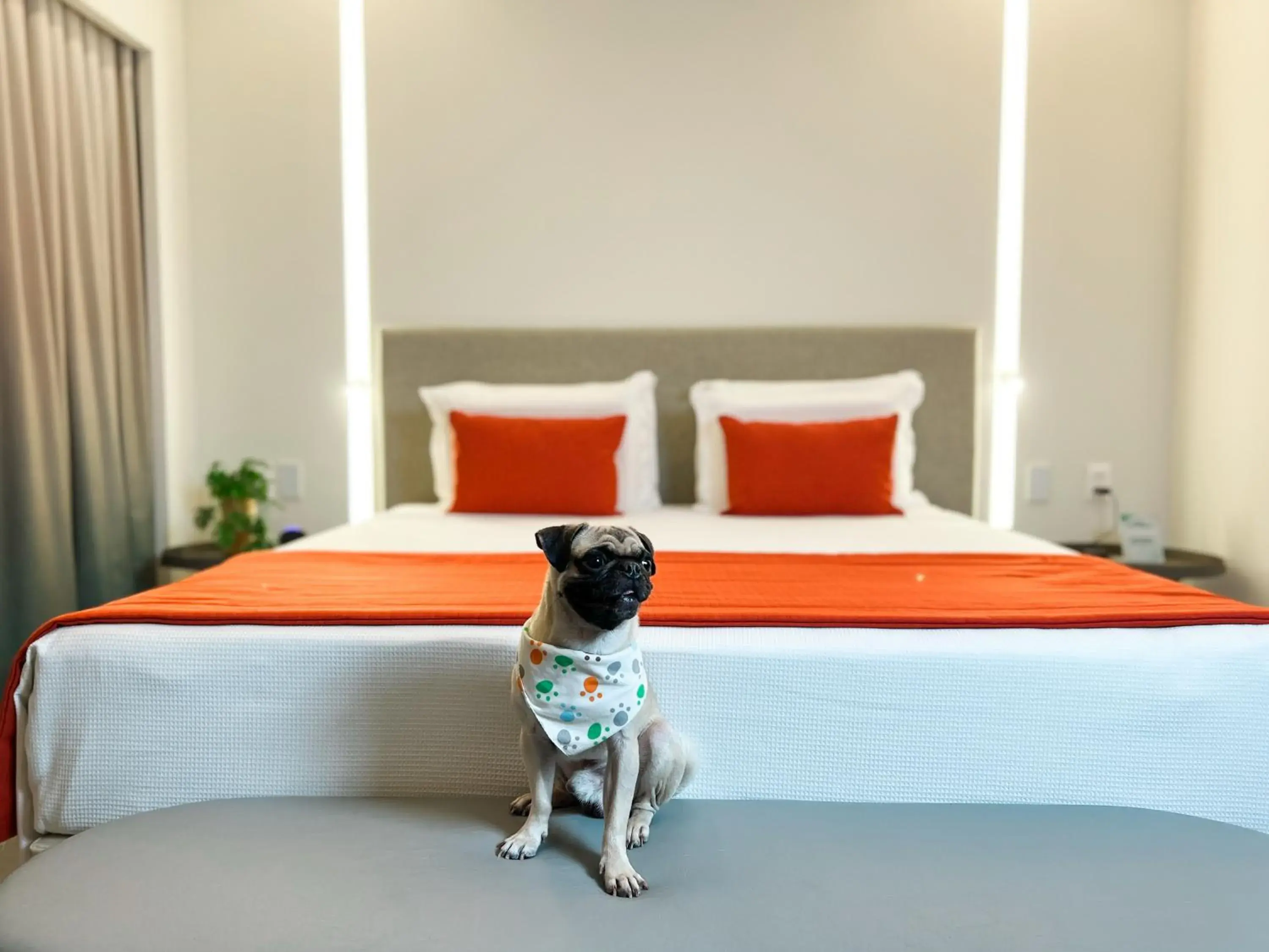 Bedroom, Bed in Japaratinga Lounge Resort - All Inclusive Bedroom, Bed in Japaratinga Lounge Resort - All Inclusive