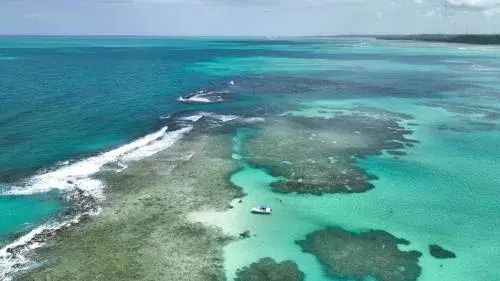 Japaratinga Lounge Resort - All Inclusive Japaratinga Lounge Resort - All Inclusive