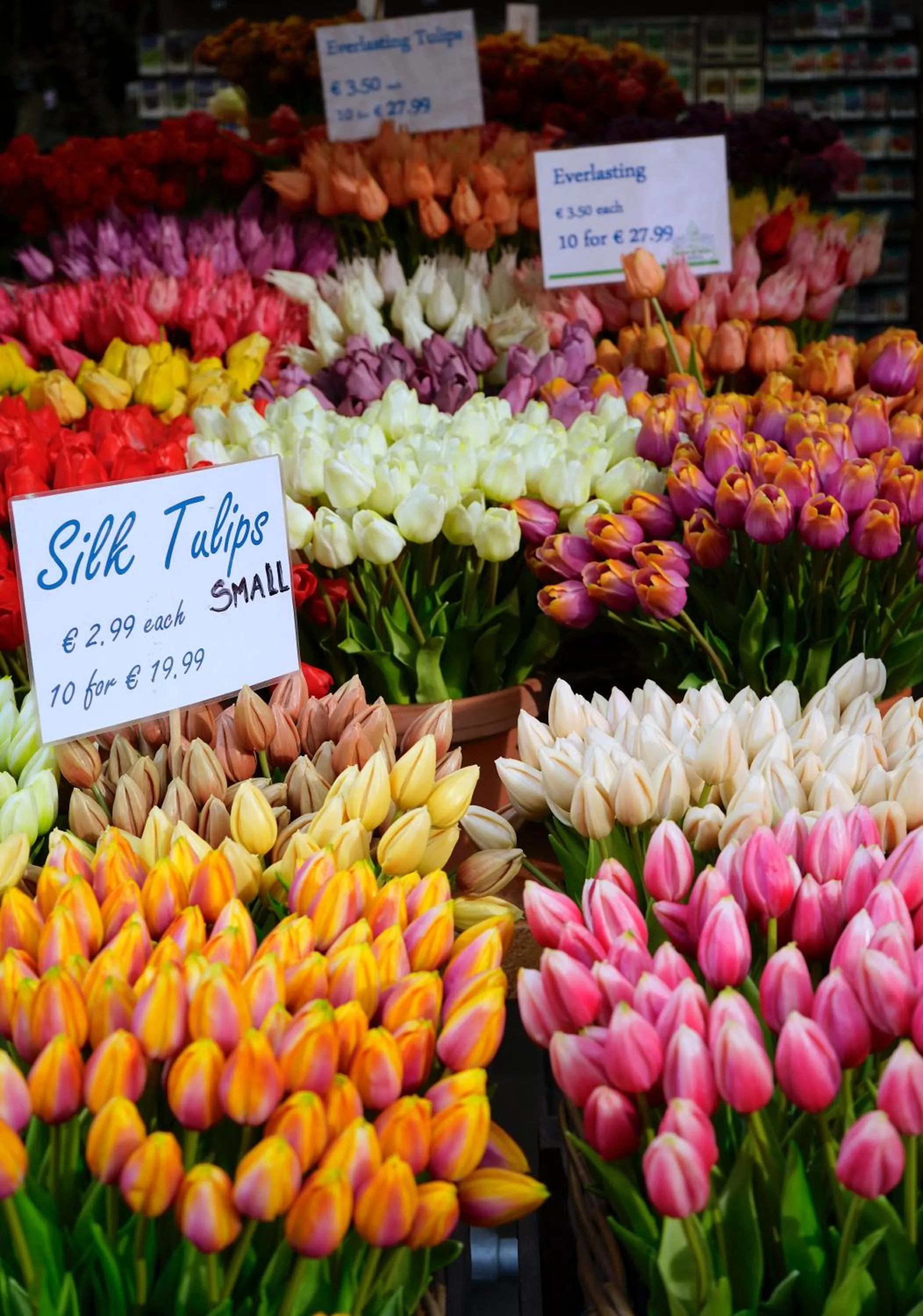 Nassau Canal Suites - in the heart of the city