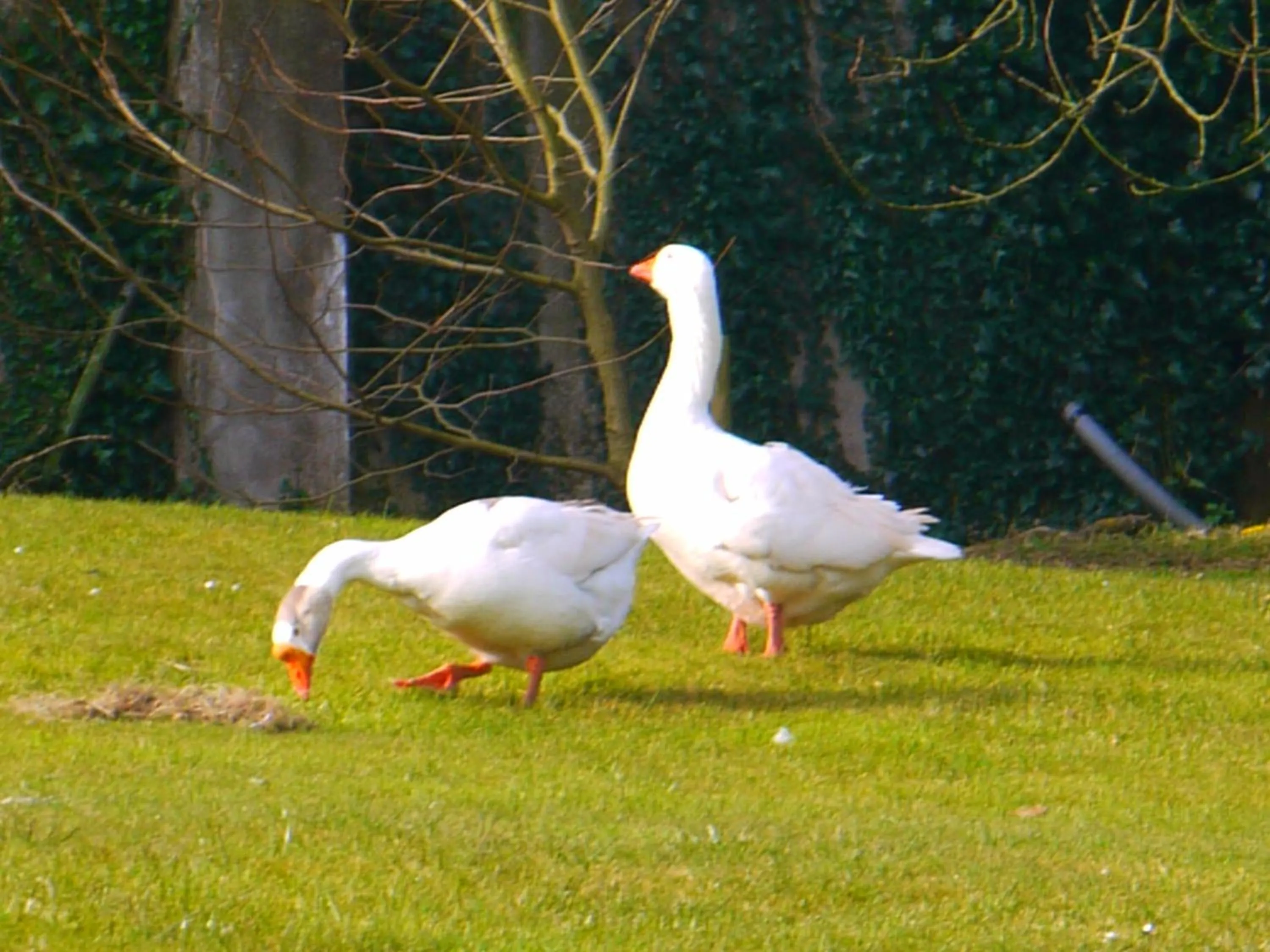 Other in Burton Farmhouse