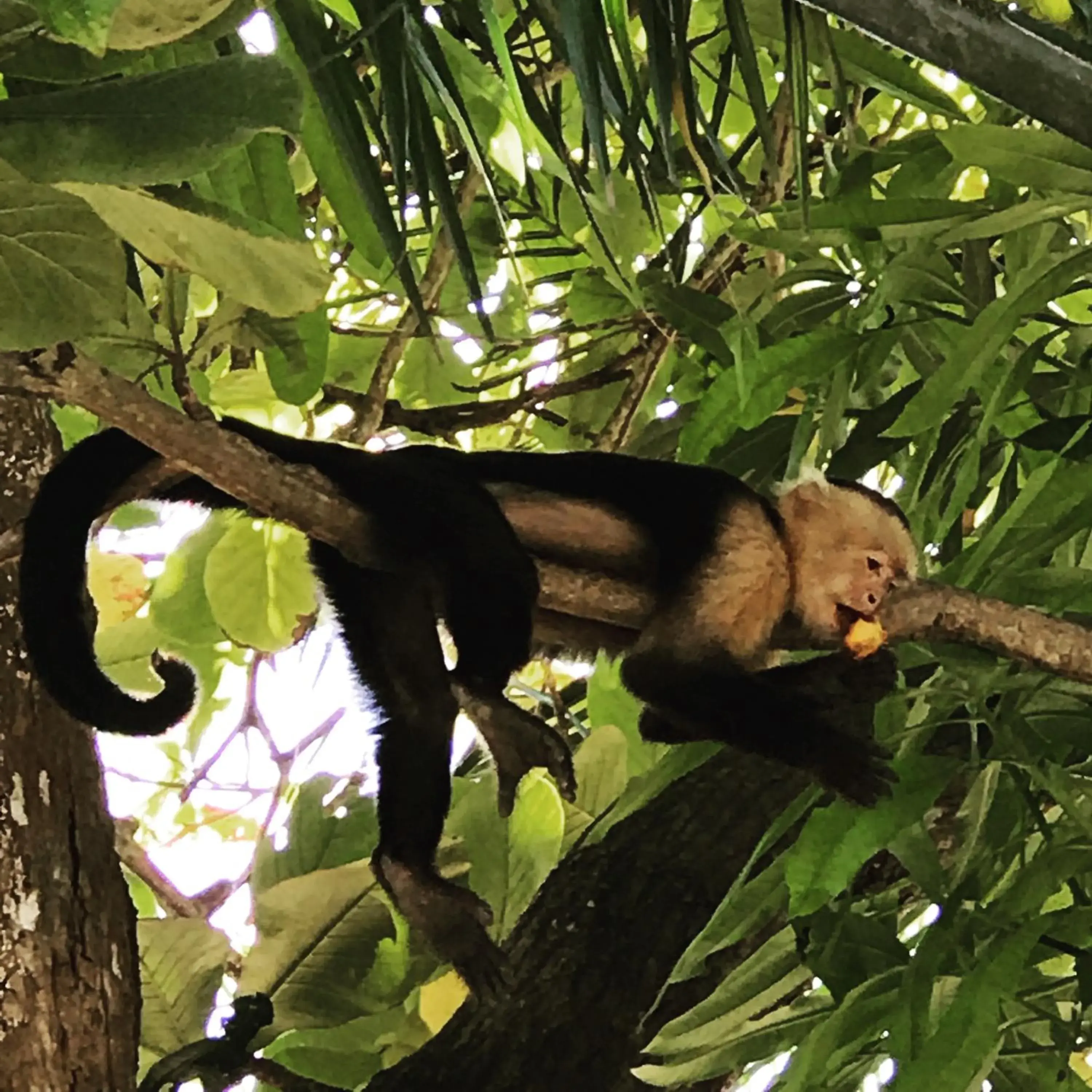 Property building in Hotel Nya Property building in Hotel Nya