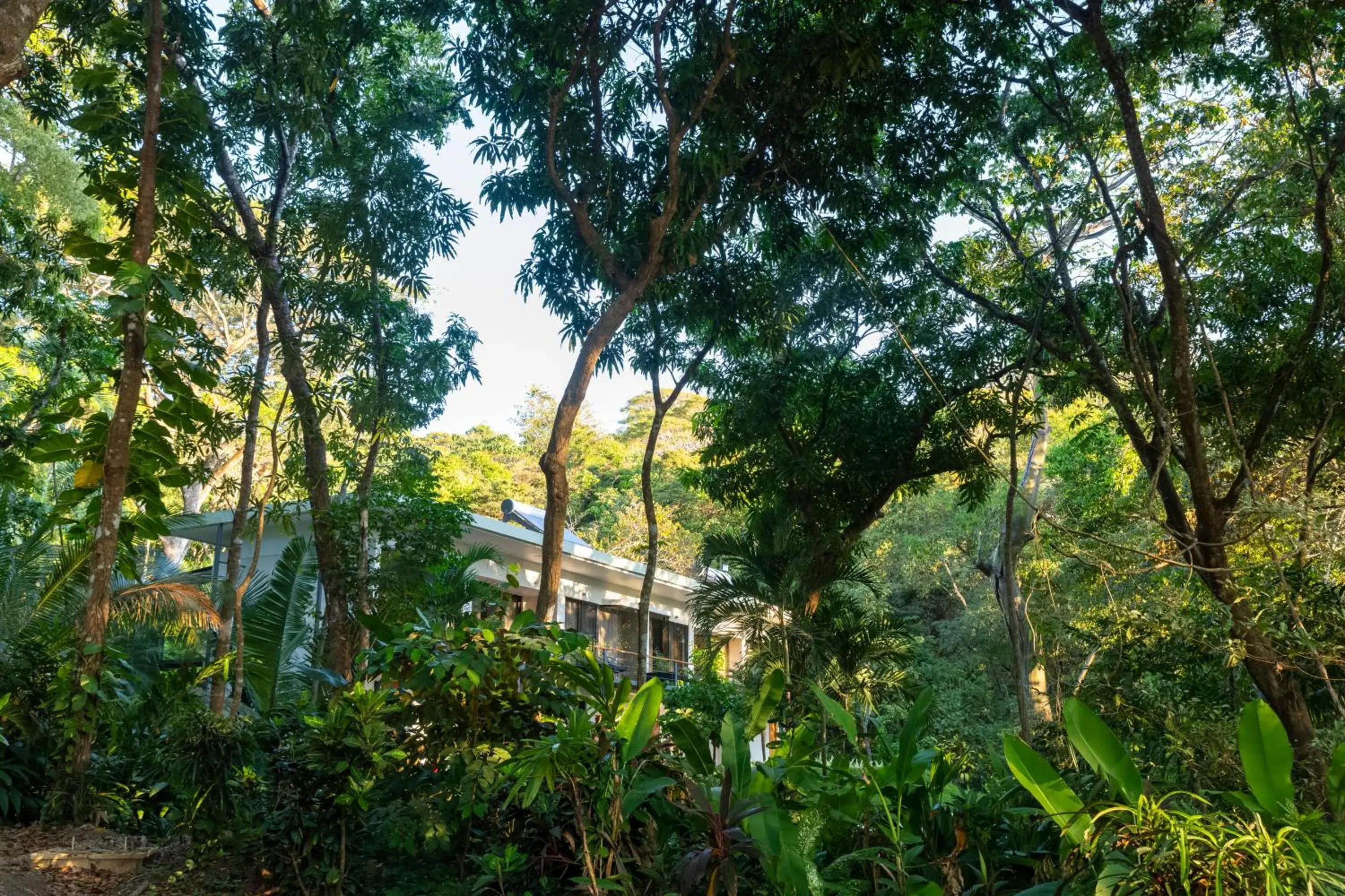 Garden view in Hotel Nya Garden view in Hotel Nya