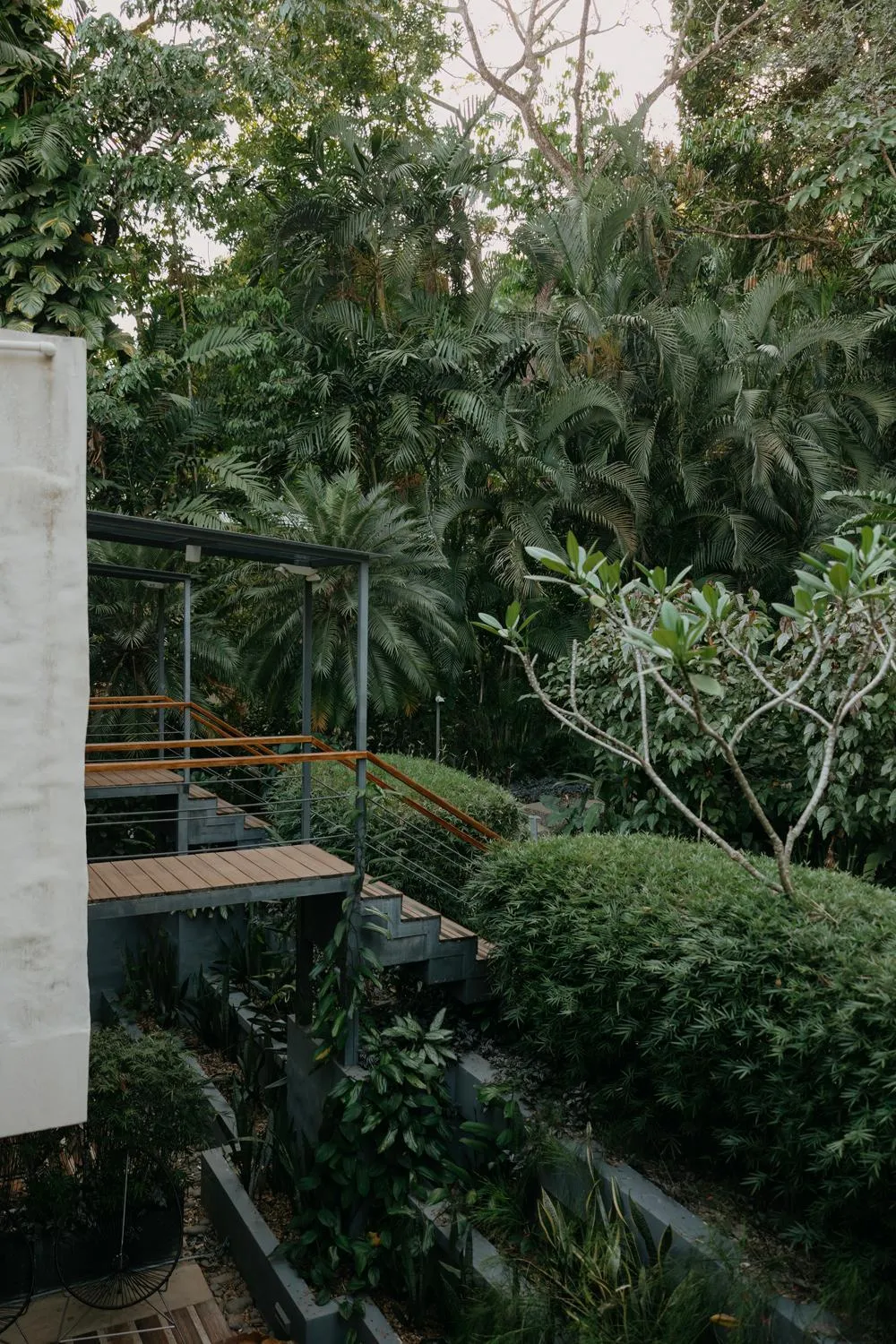 Natural landscape in Hotel Nya