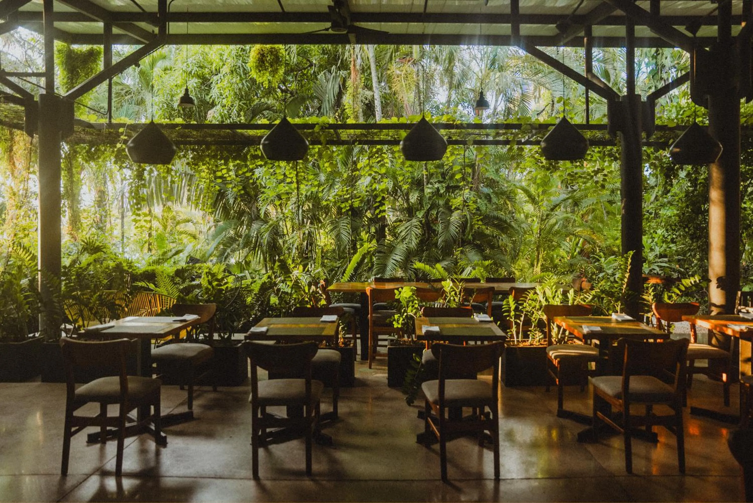 Restaurant/places to eat in Hotel Nya