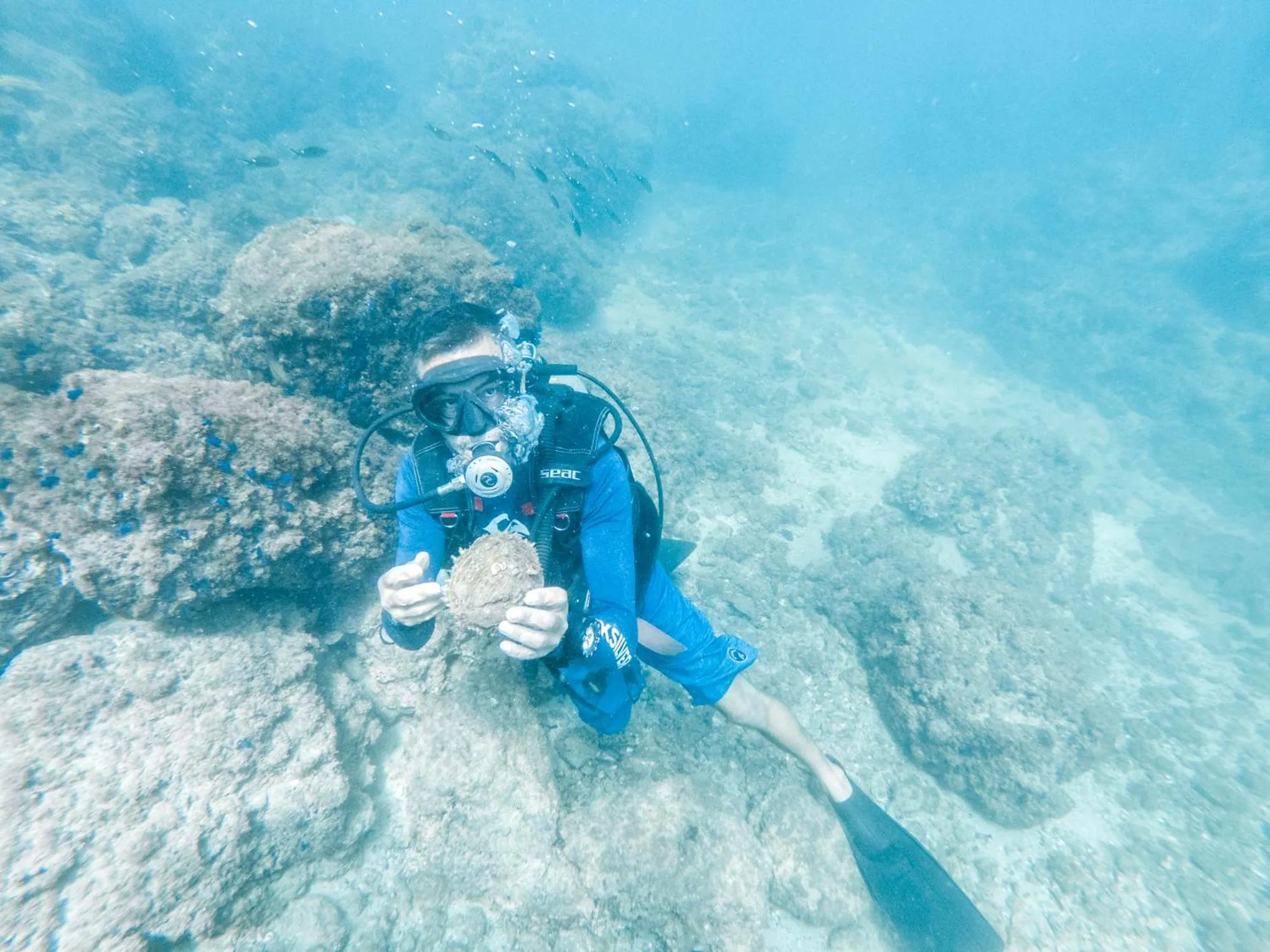 Activities in Hotel Nya