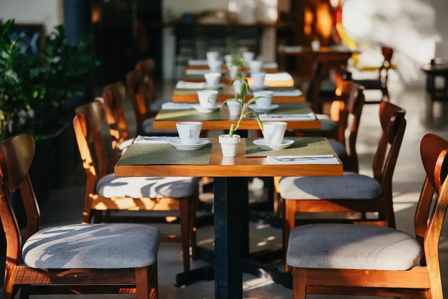 Restaurant/places to eat in Hotel Nya Restaurant/places to eat in Hotel Nya