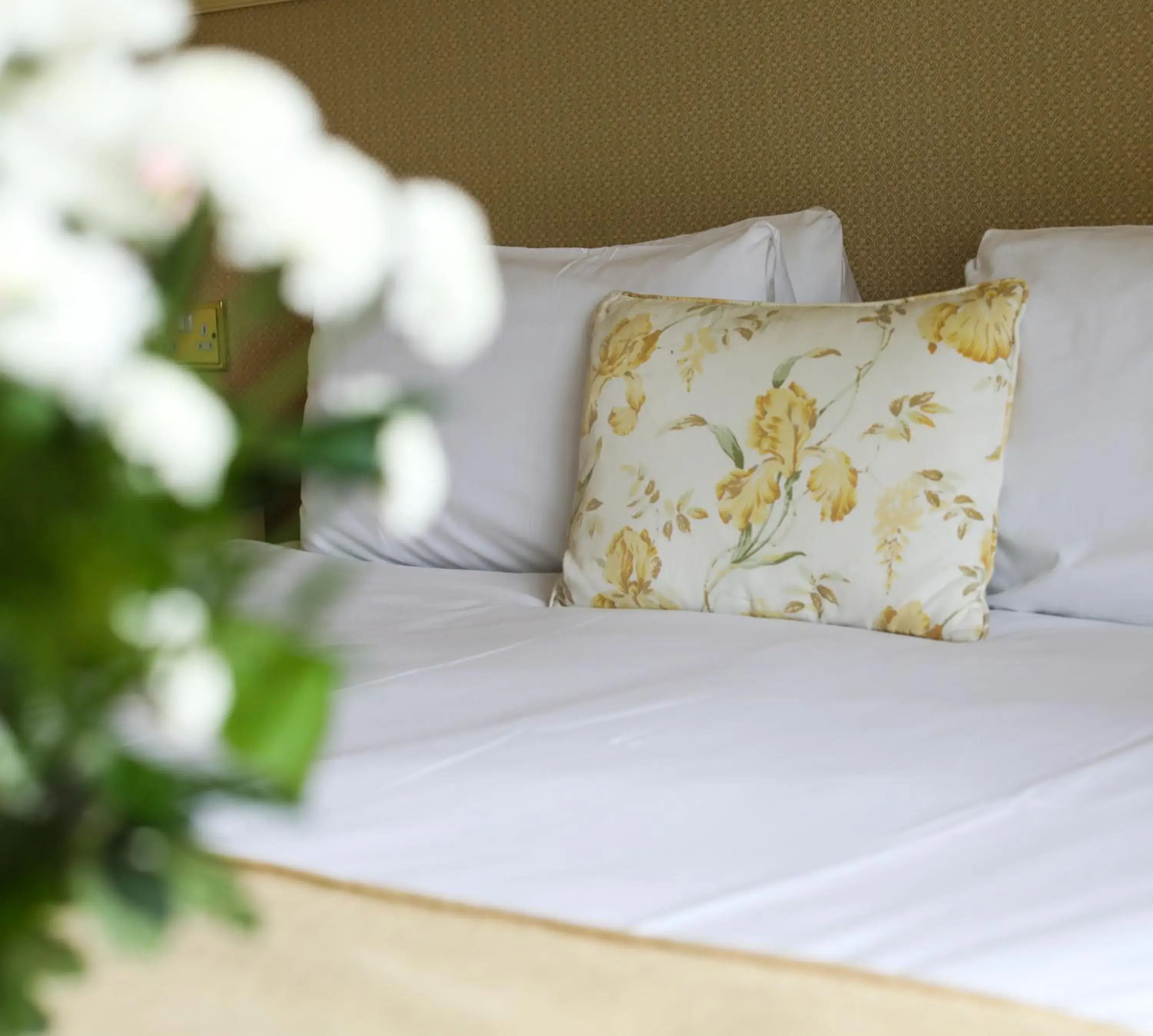 Cozy Single Room in Killeen House Hotel Cozy Single Room in Killeen House Hotel