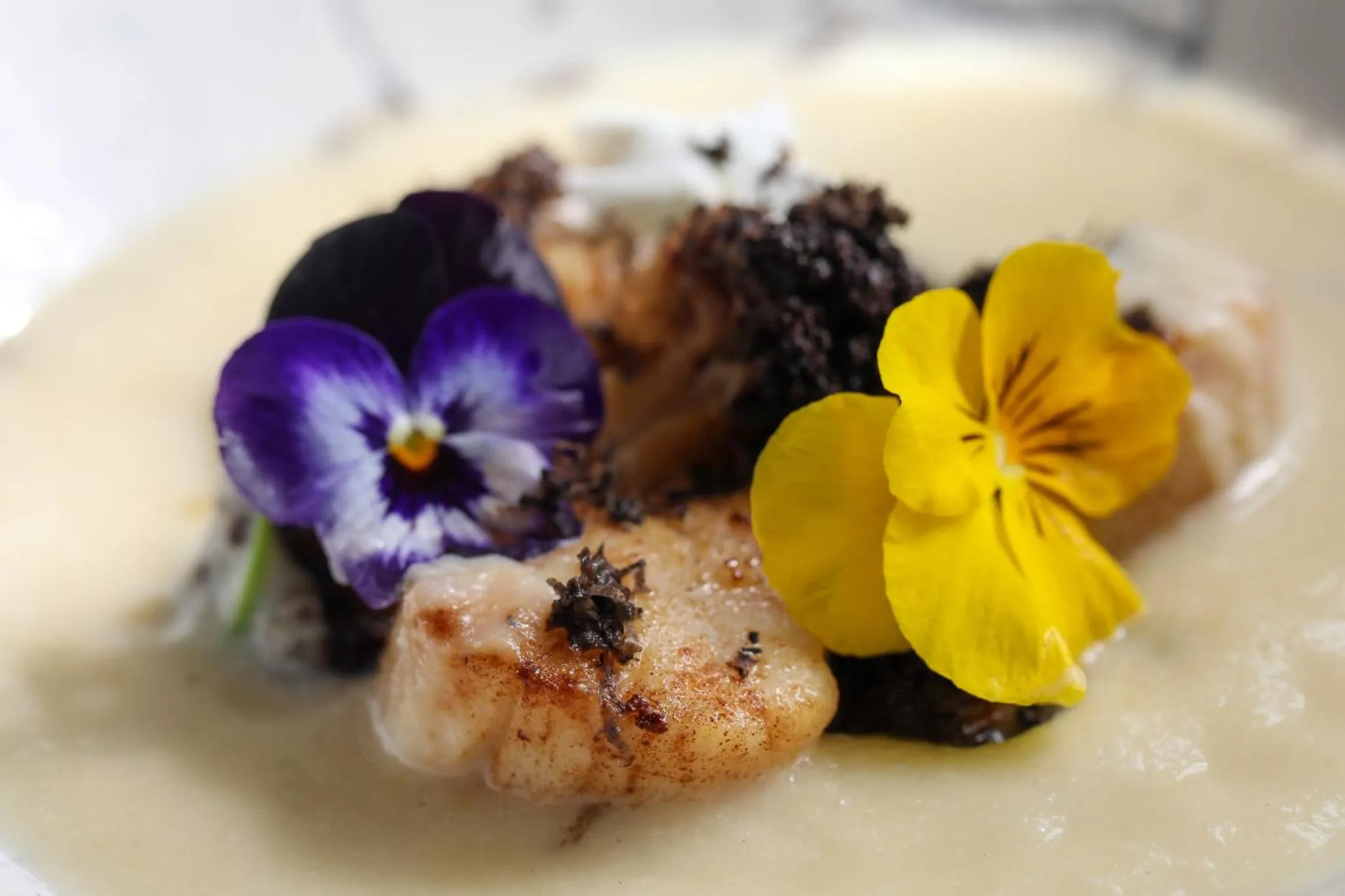 Food and drinks in Killeen House Hotel