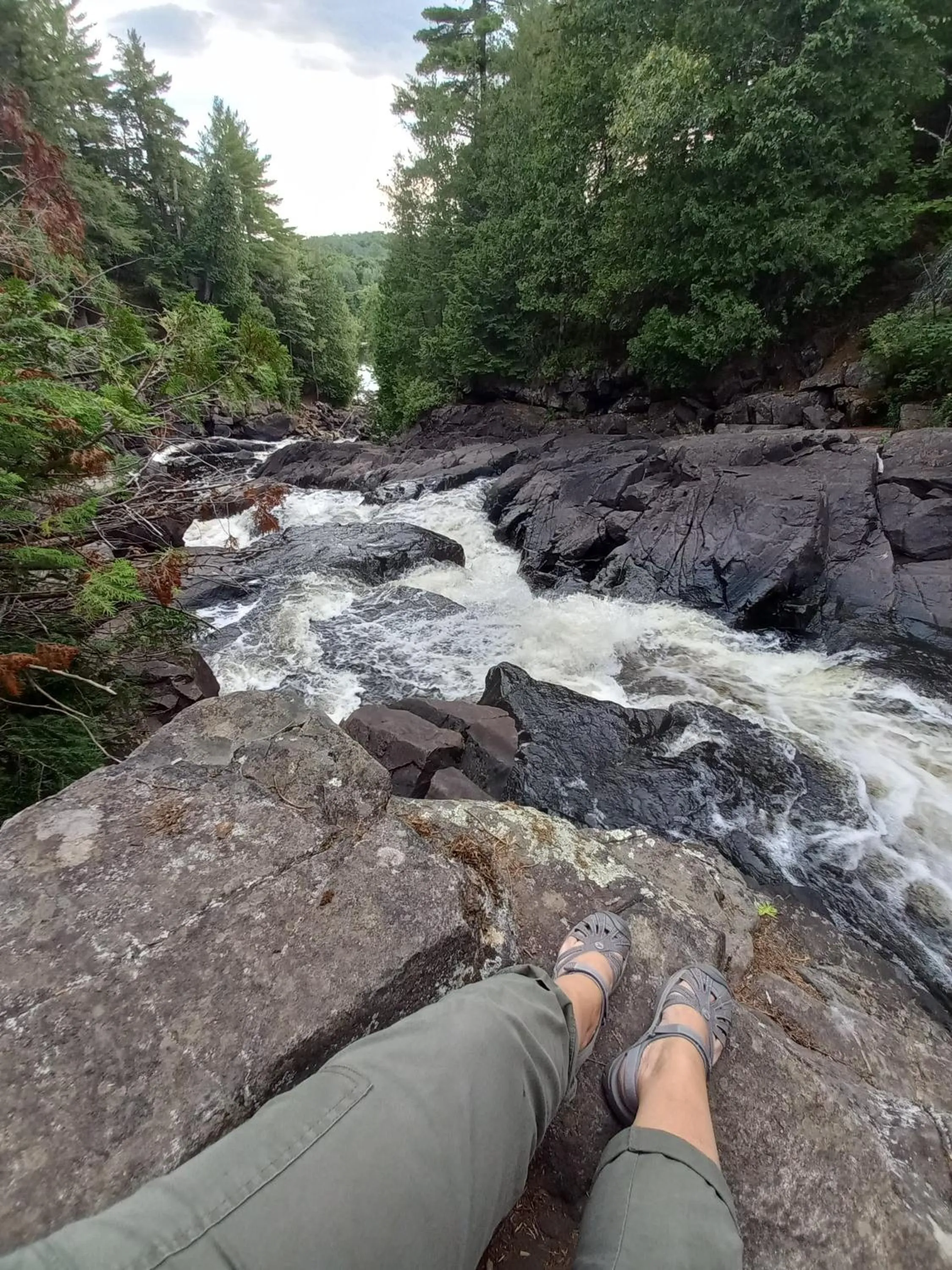Natural landscape in Blue Spruce Bed and Breakfast Muskoka