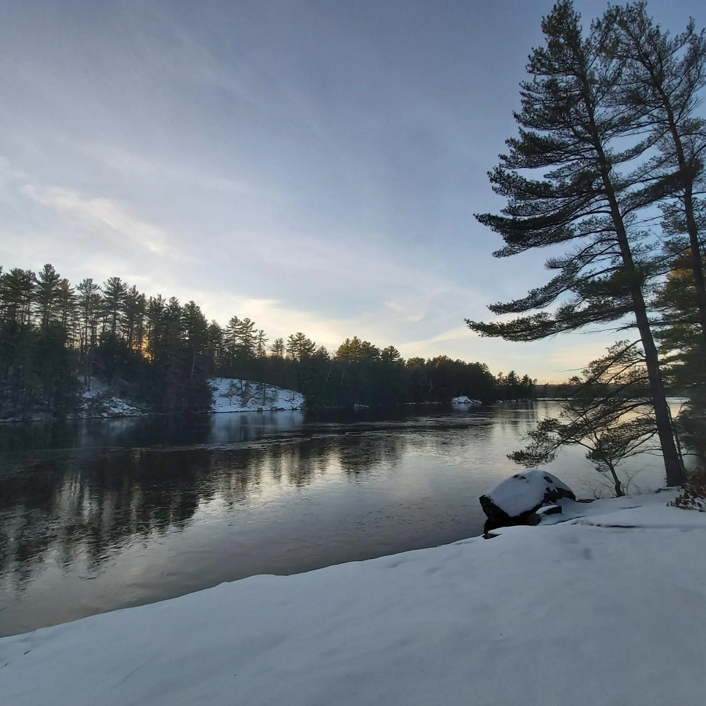 Natural landscape in Blue Spruce Bed and Breakfast Muskoka