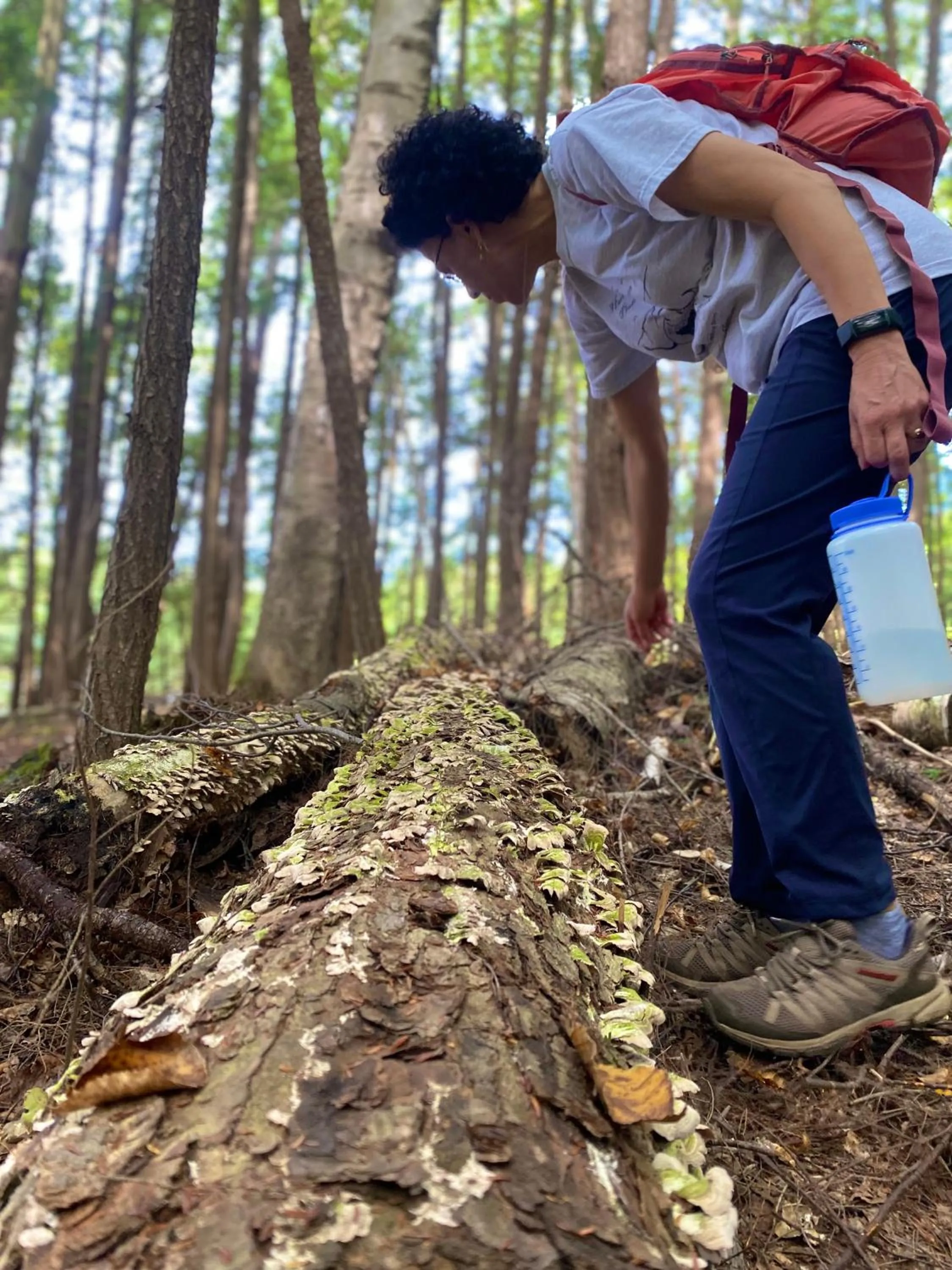 Nearby landmark in Blue Spruce Bed and Breakfast Muskoka