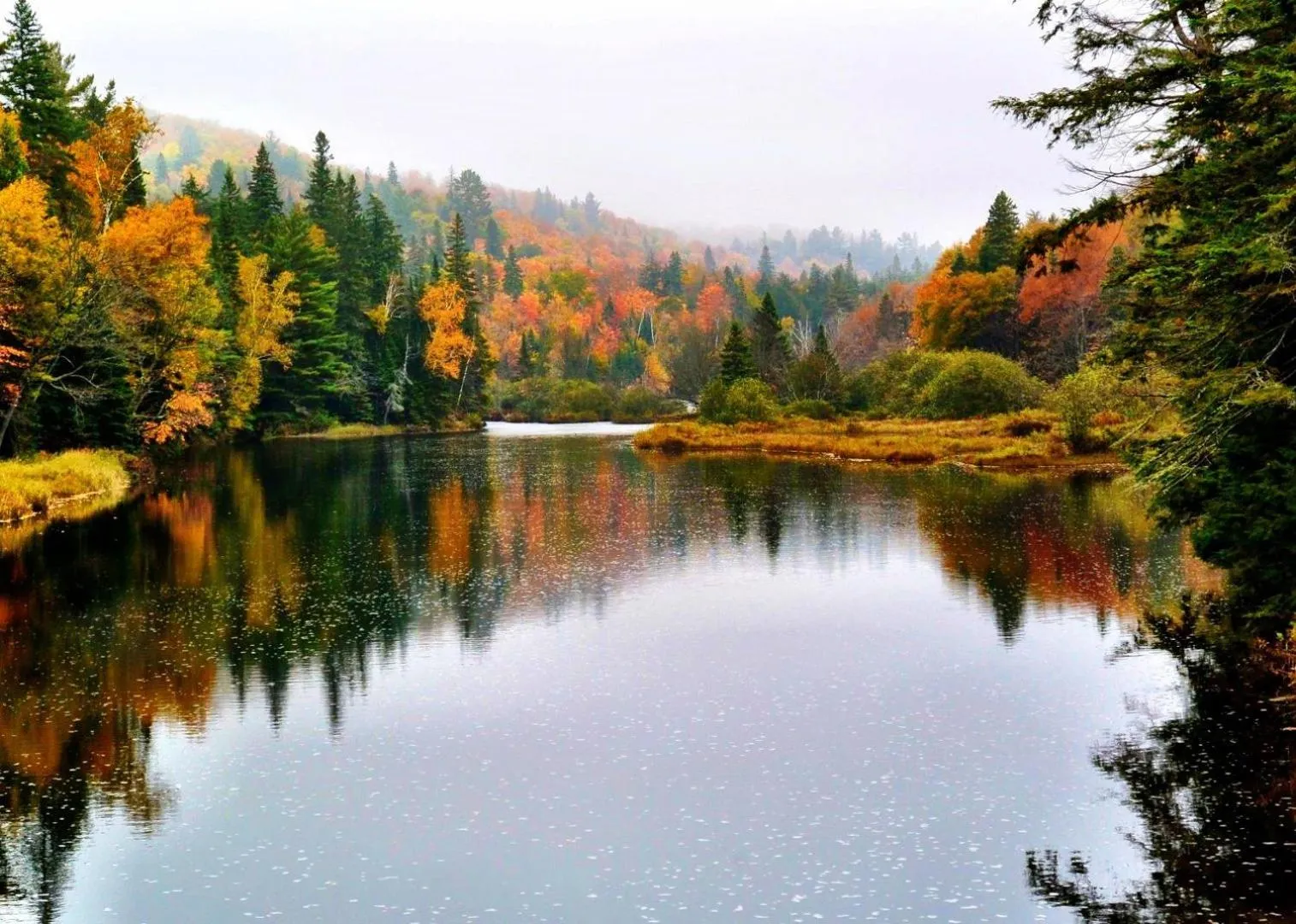 Nearby landmark in Blue Spruce Bed and Breakfast Muskoka