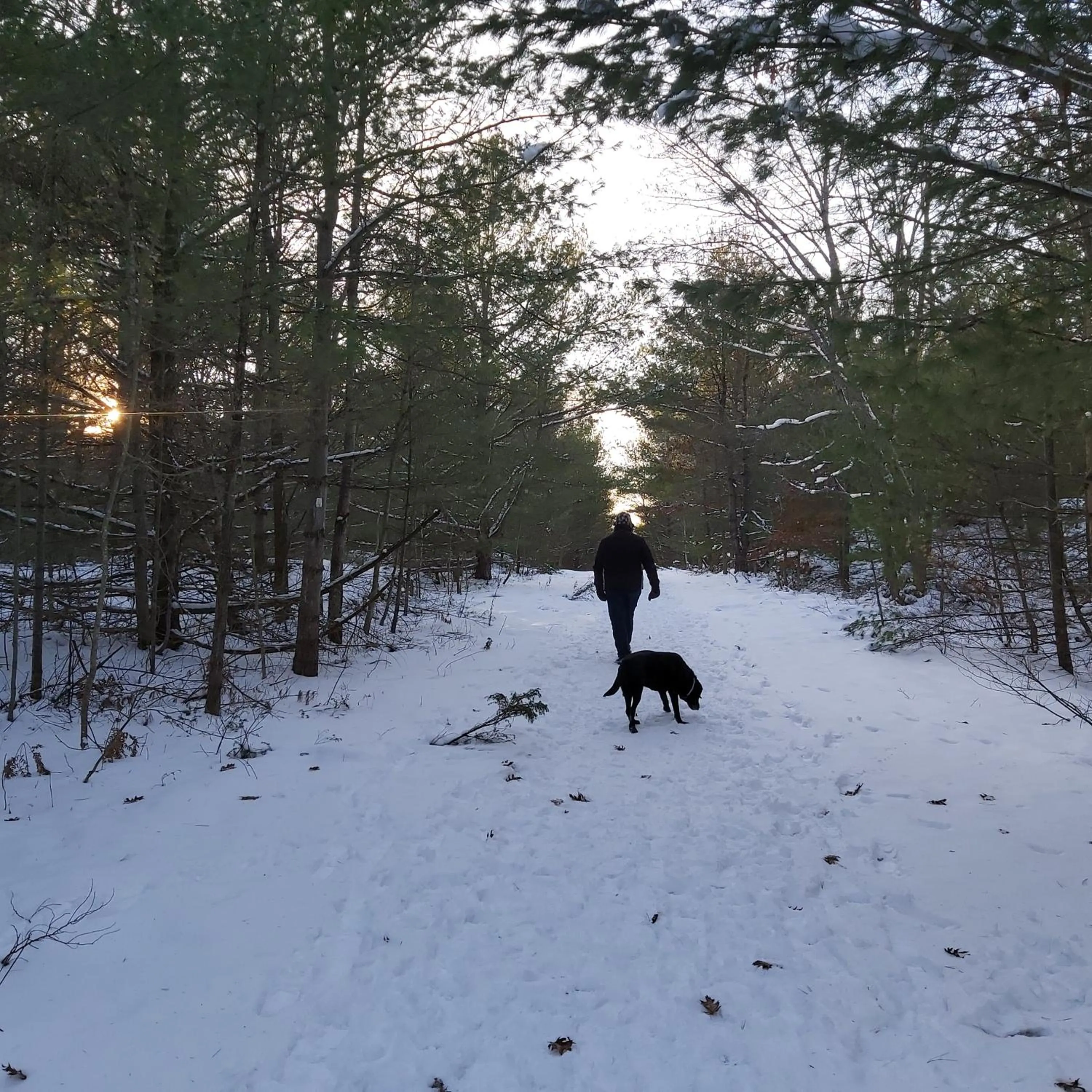 Natural landscape in Blue Spruce Bed and Breakfast Muskoka