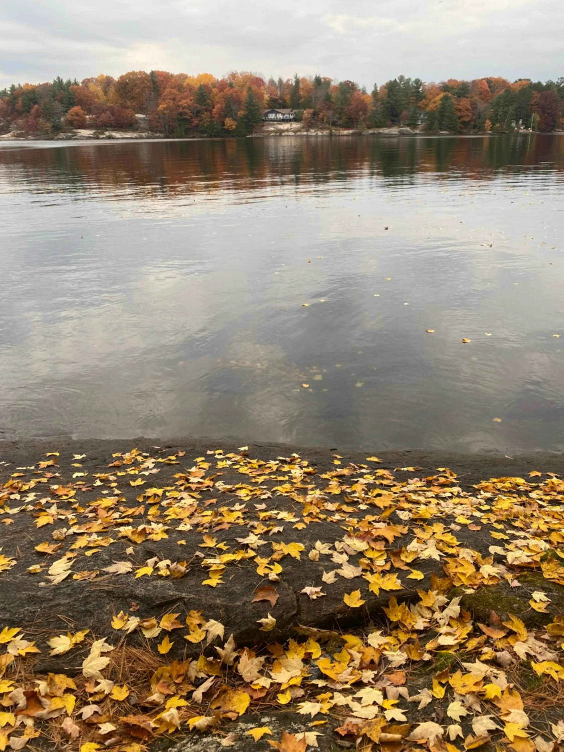 Natural landscape in Blue Spruce Bed and Breakfast Muskoka