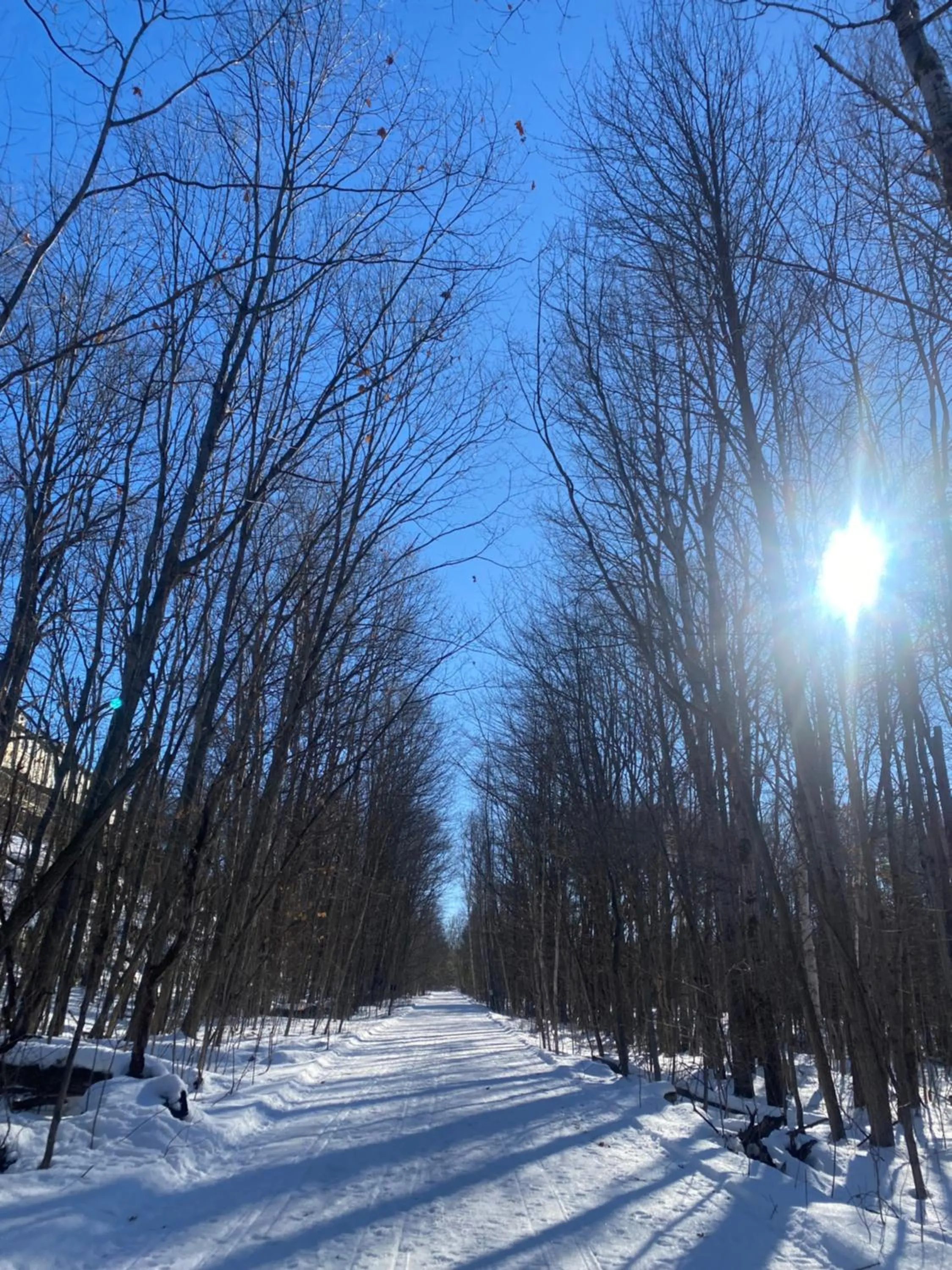 Nearby landmark in Blue Spruce Bed and Breakfast Muskoka
