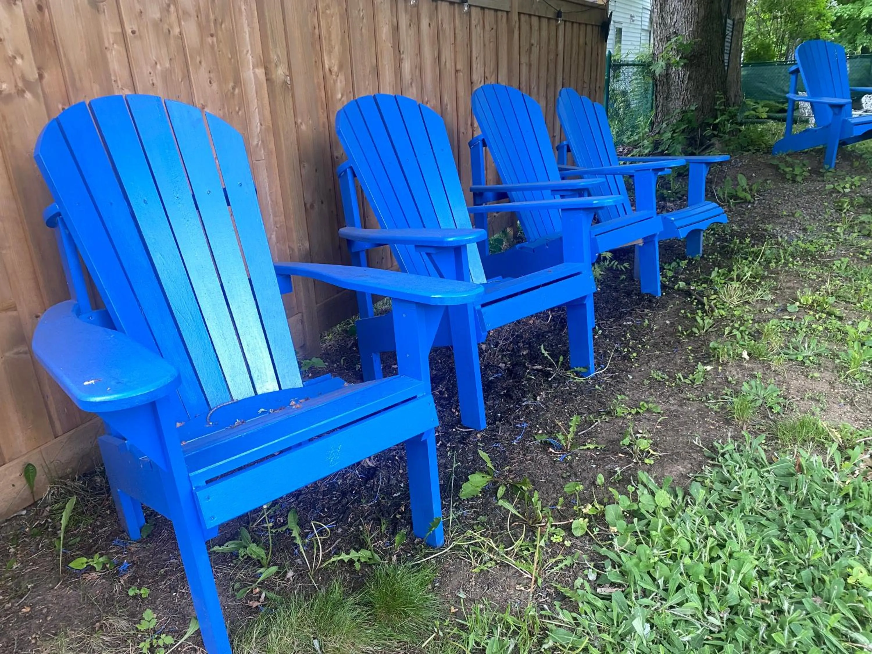 Day in Blue Spruce Bed and Breakfast Muskoka