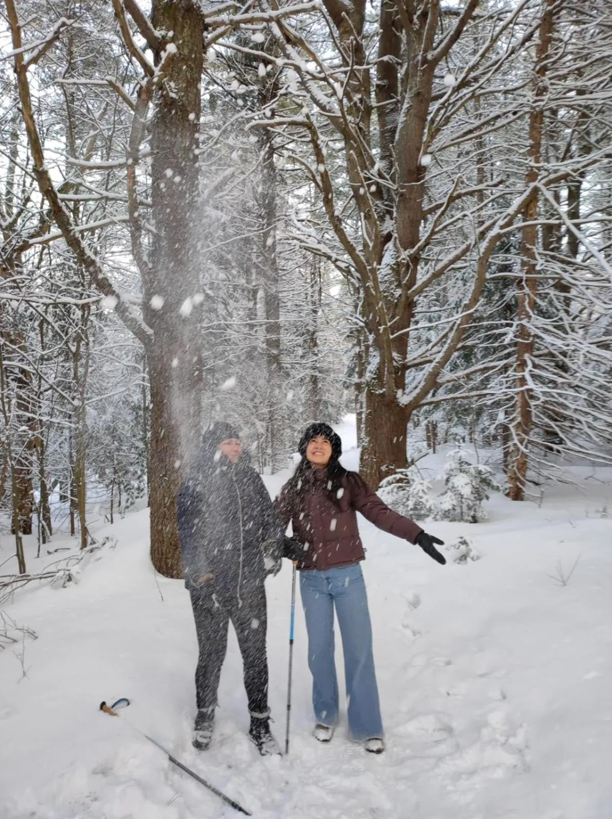 Nearby landmark in Blue Spruce Bed and Breakfast Muskoka