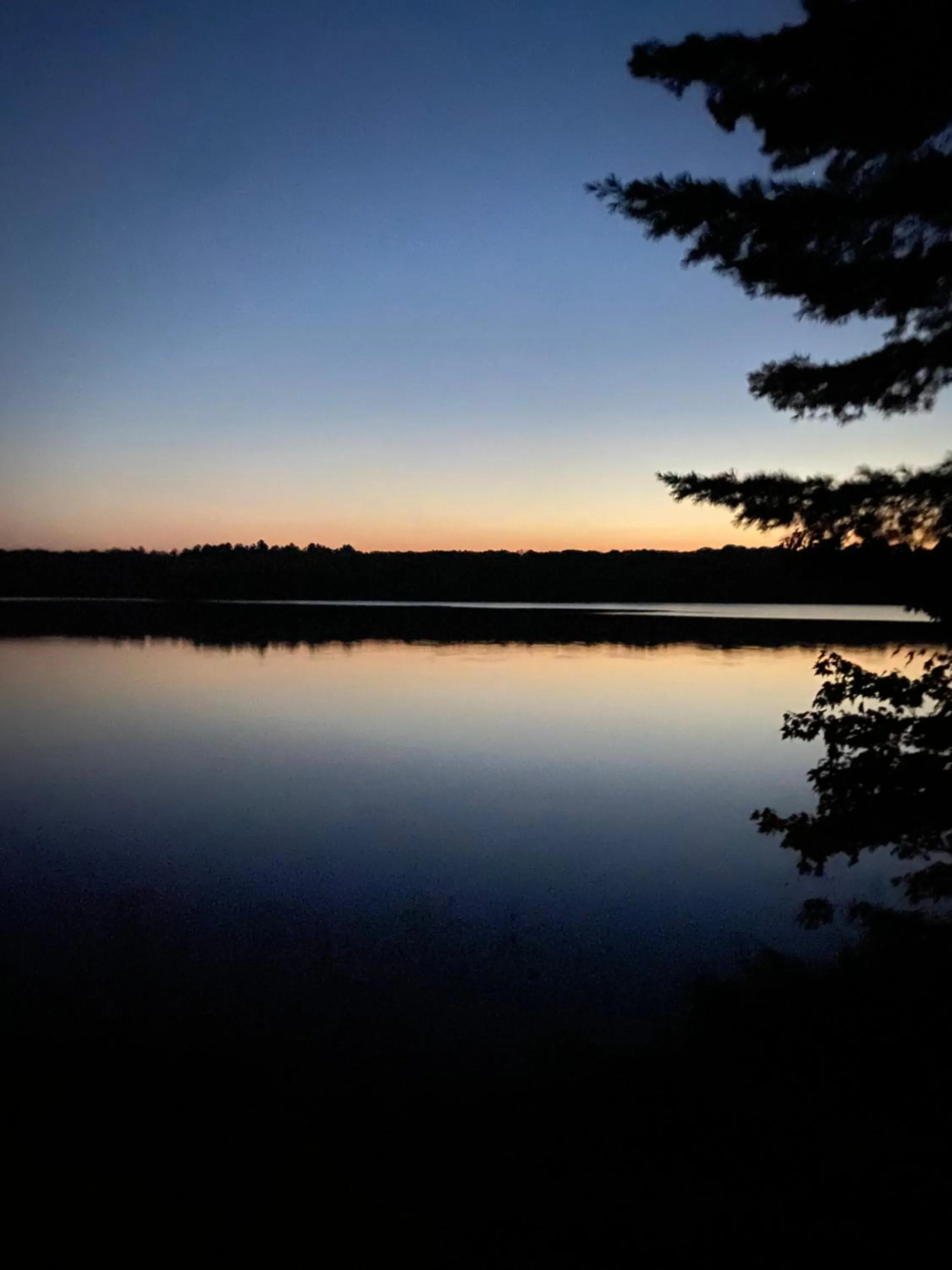 Natural landscape in Blue Spruce Bed and Breakfast Muskoka