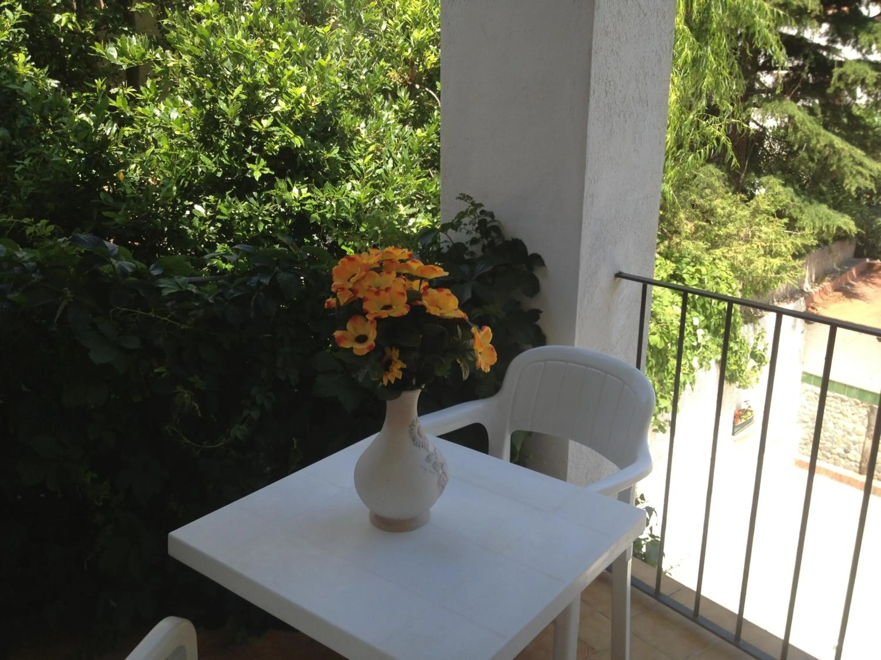 Balcony/Terrace in Hotel Comodoro
