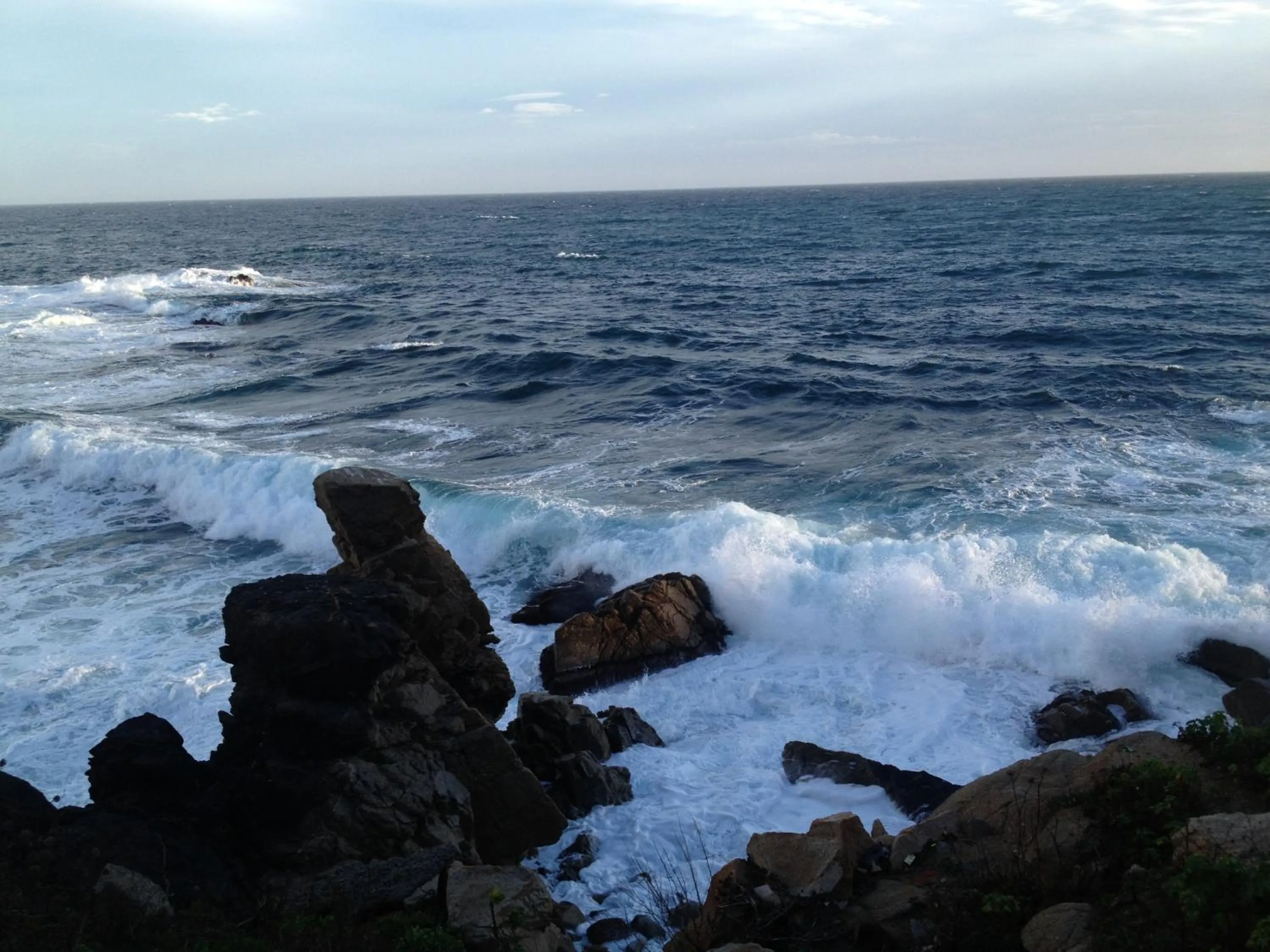 Natural landscape in Hotel Comodoro