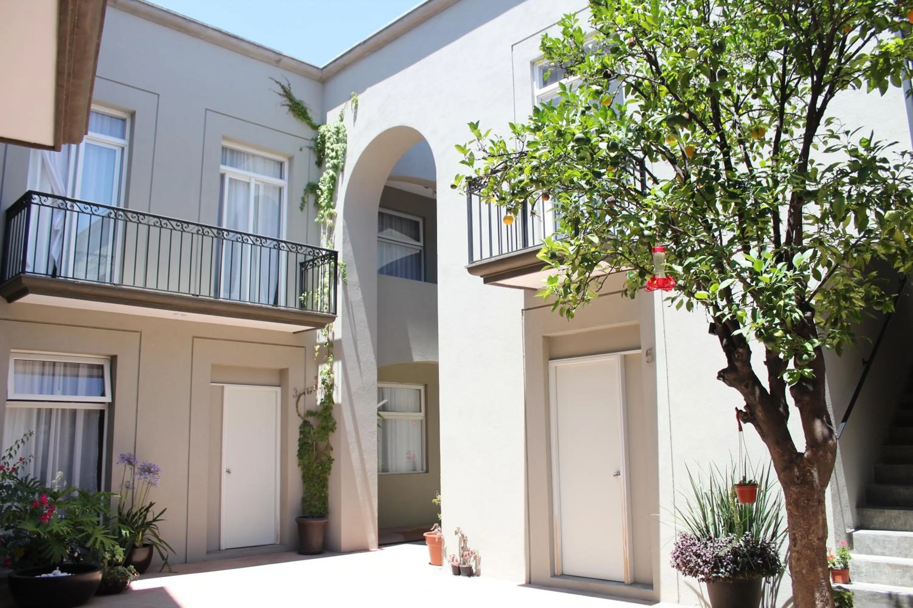 Property building in Hotel Mamá Carlota