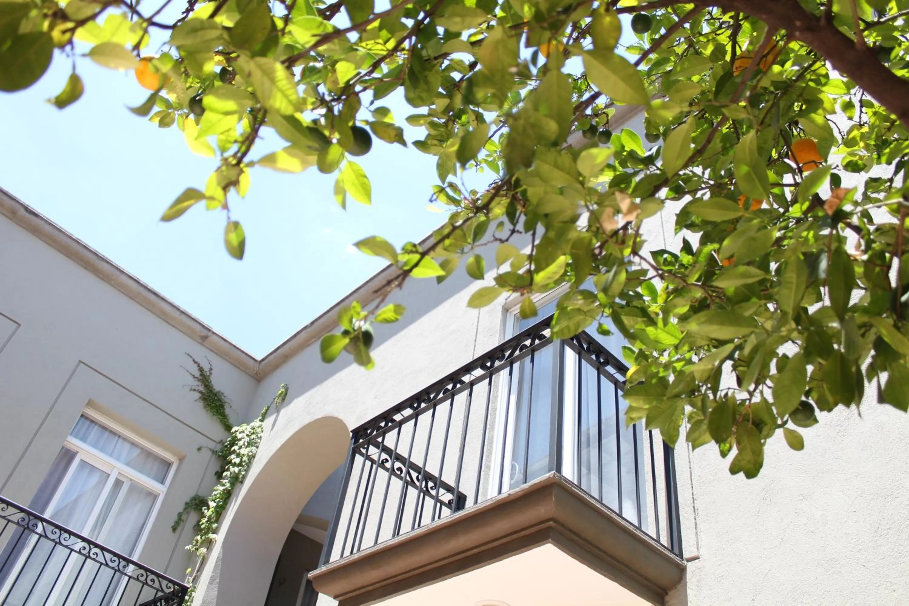 Property building in Hotel Mamá Carlota