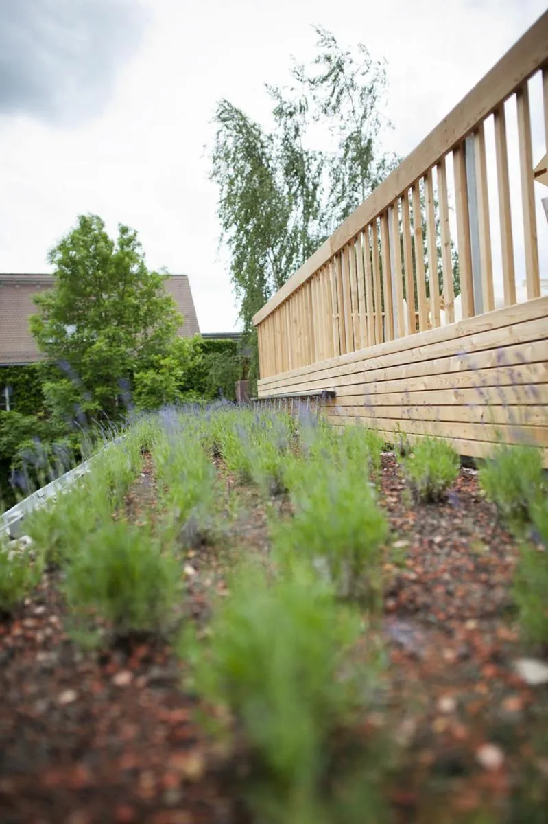 Garden in Familienhotel Weimar mit Ferienwohnungen