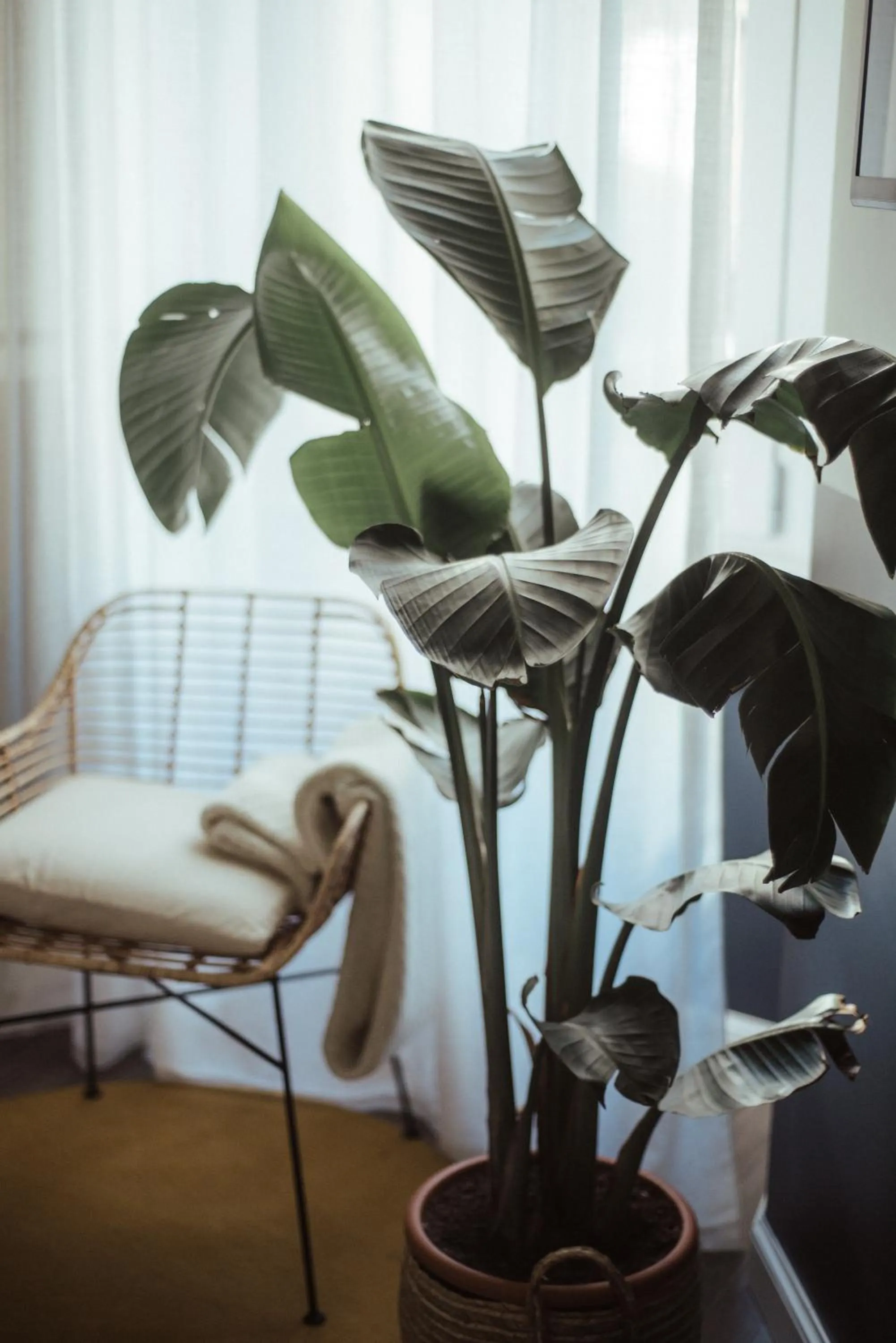 Decorative detail in Cà Bèla - Porta Romana