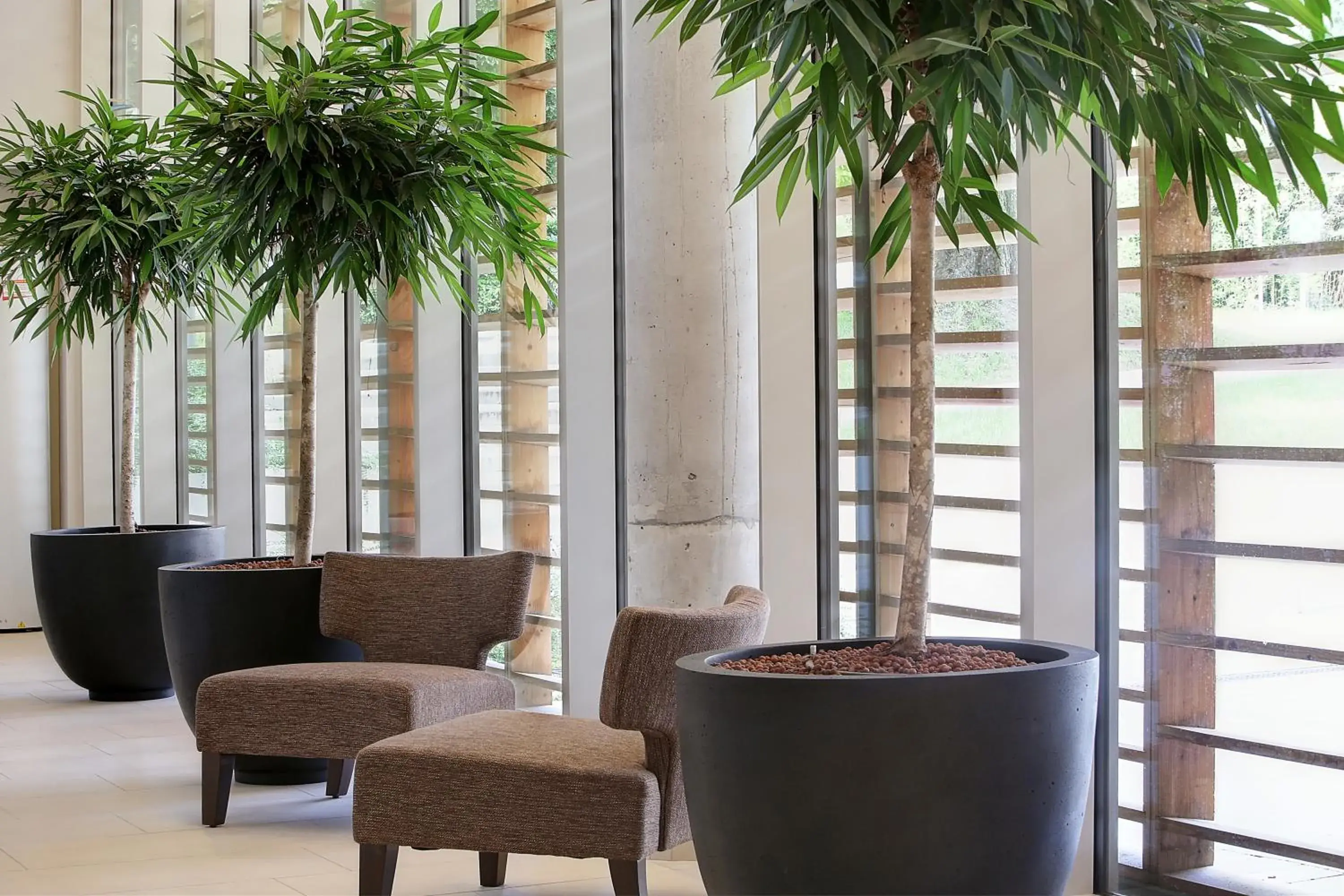 Lobby or reception in Best Western Plus Paris Meudon Ermitage Lobby or reception in Best Western Plus Paris Meudon Ermitage