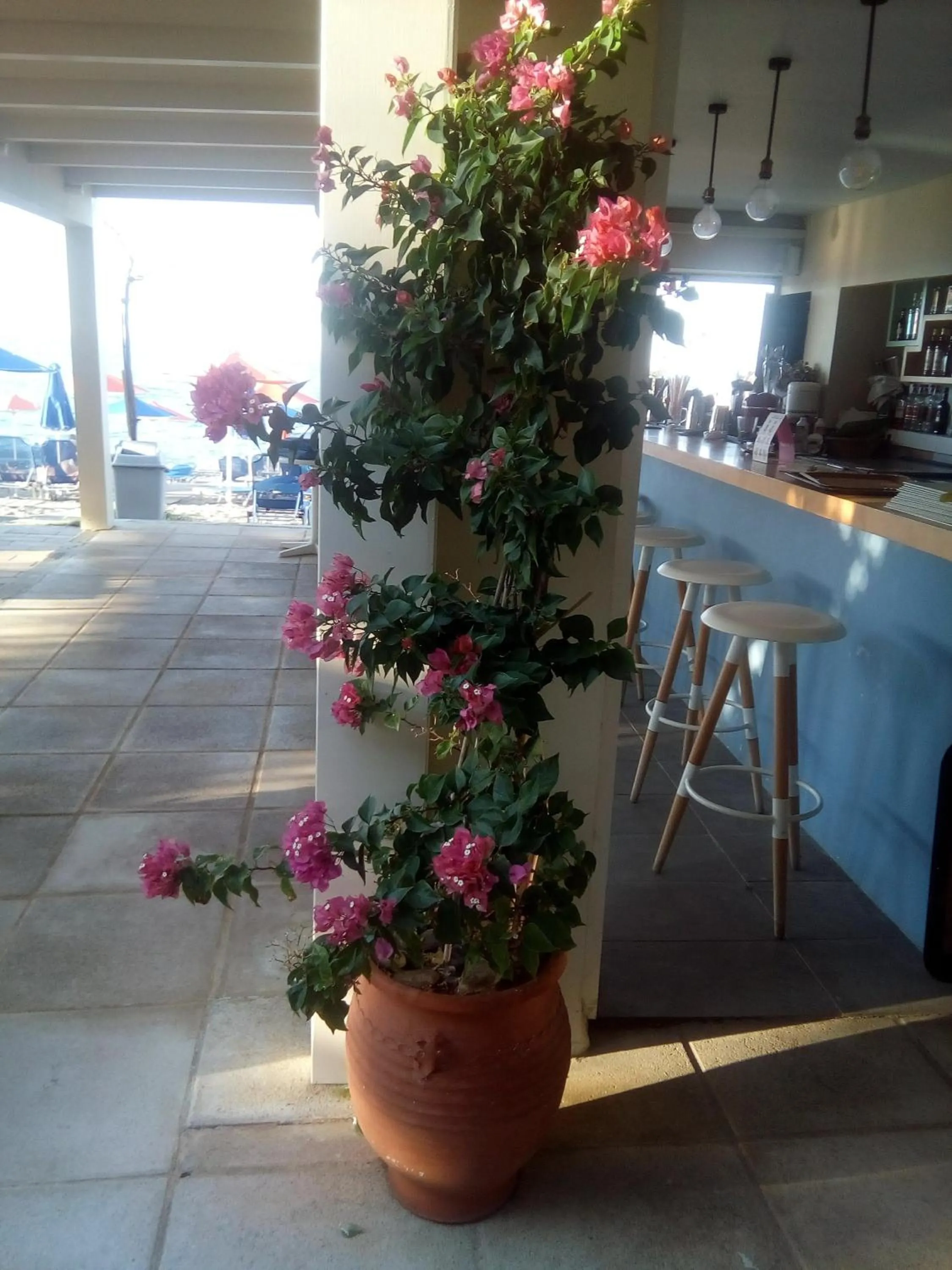 Restaurant/places to eat in Melina Beach