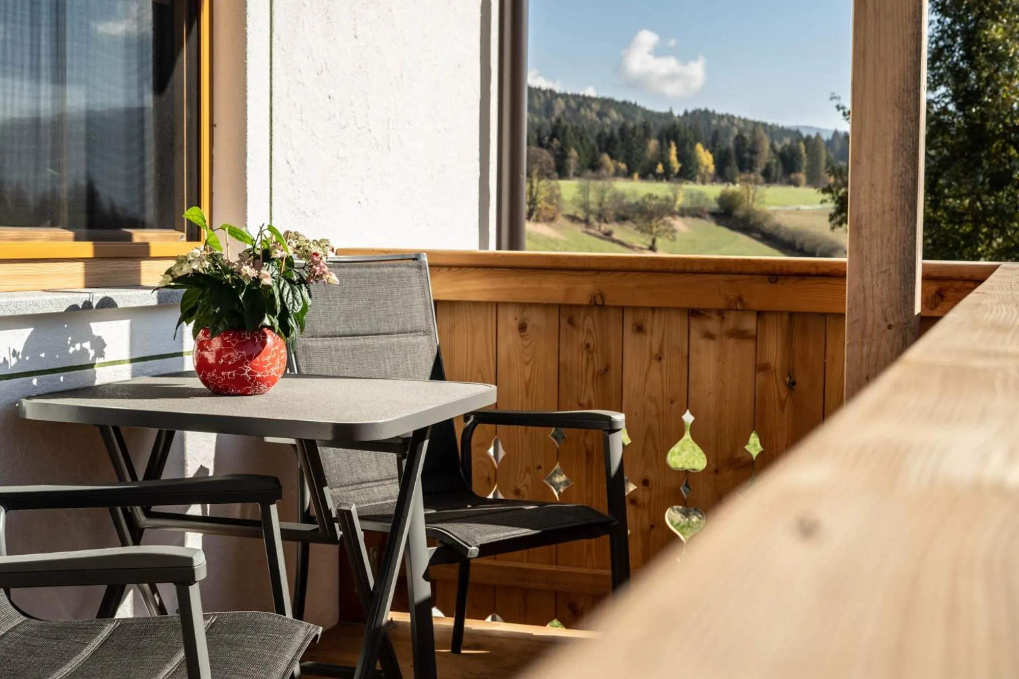 View (from property/room) in Biobauernhof Gast