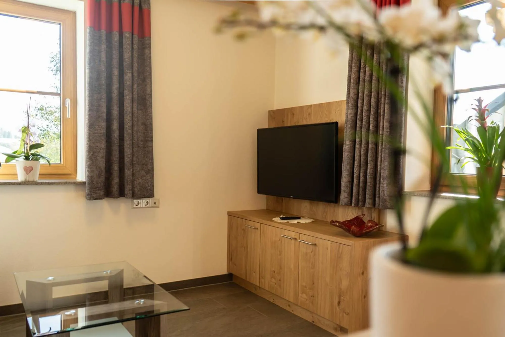 TV and multimedia in Biobauernhof Gast