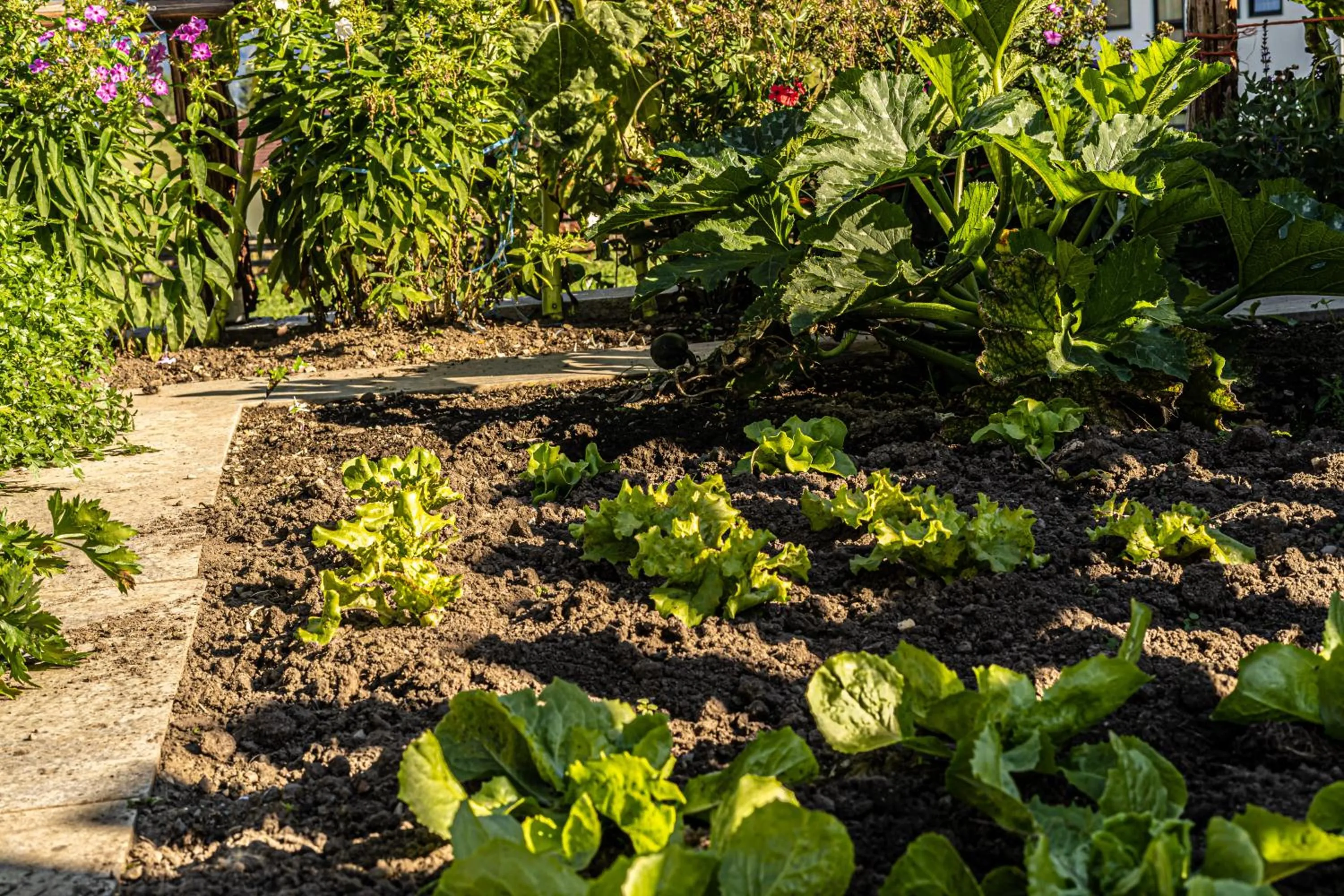 Garden in Biobauernhof Gast