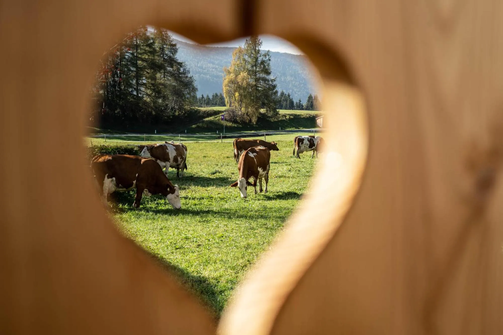 Animals in Biobauernhof Gast