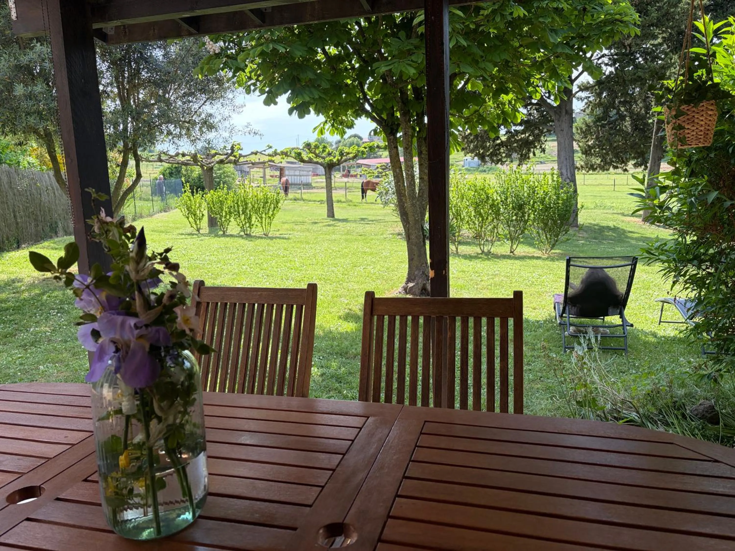 Garden in GITE LA FREYDIERE
