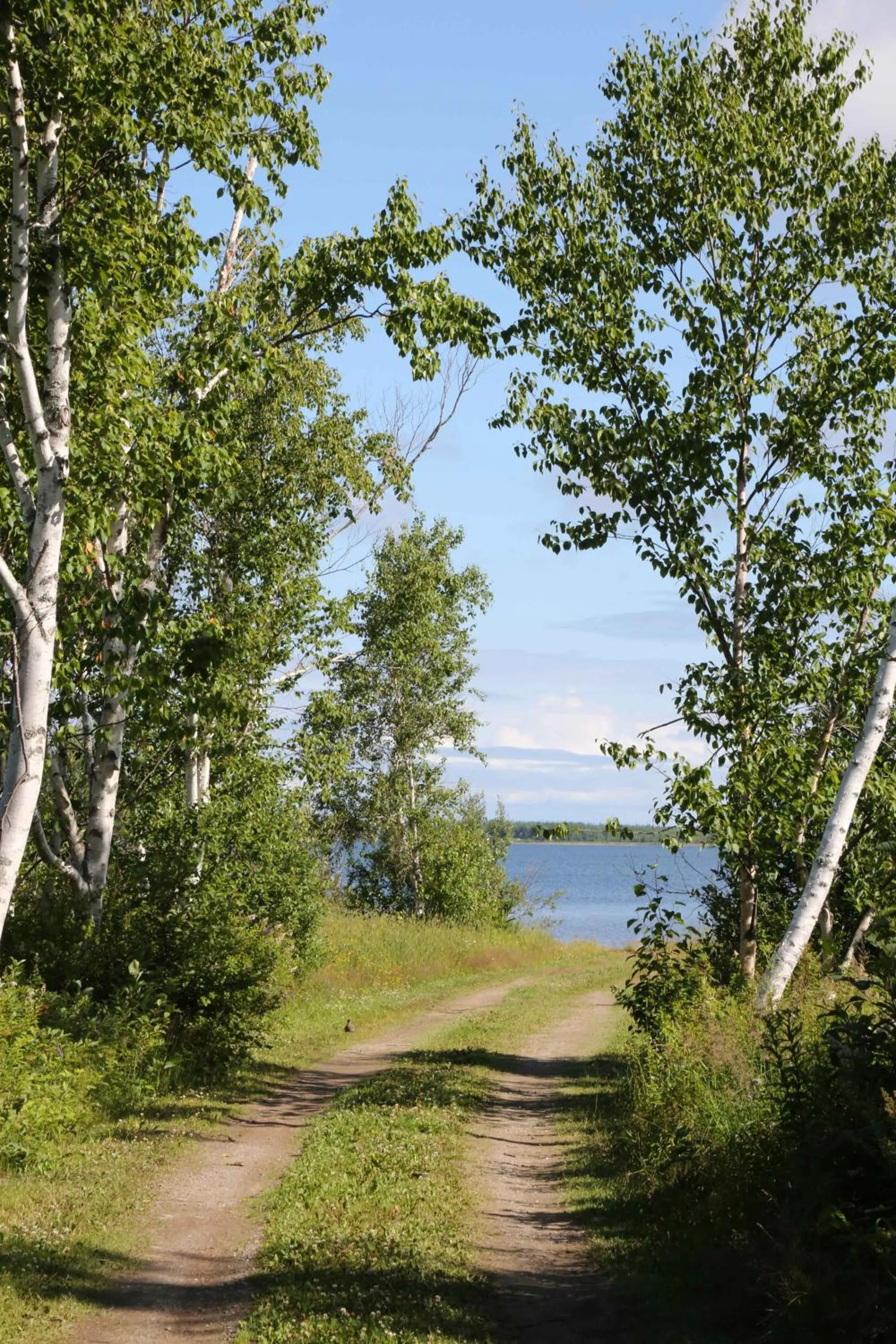 Beach in Complexe d'hébergement la Maison touristique Dugas