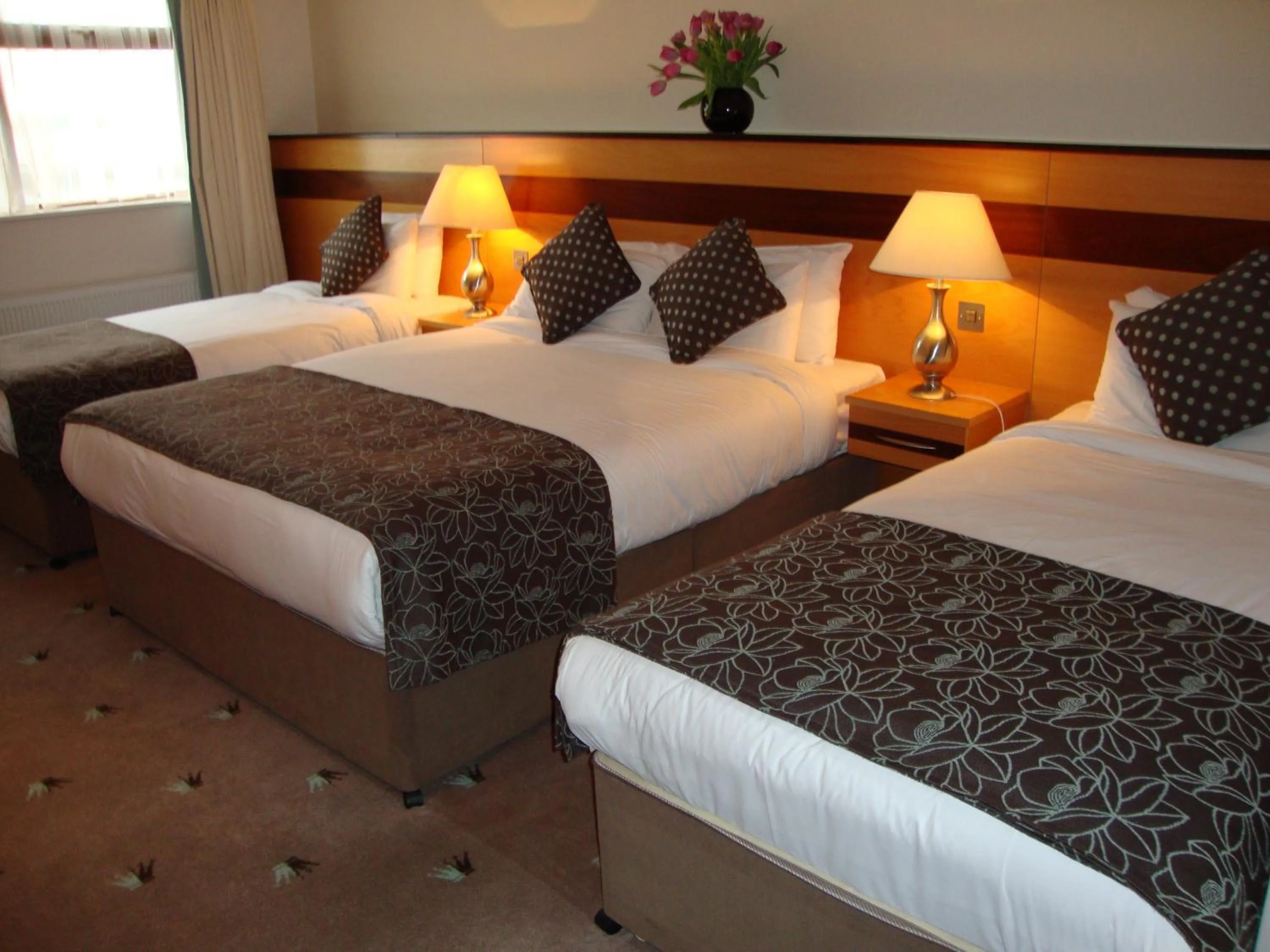 Photo of the whole room, Bed in Ard Ri House Hotel