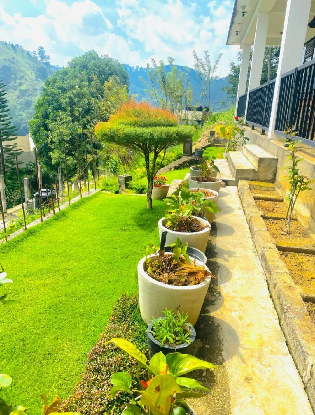 Garden in Two Rock Vista